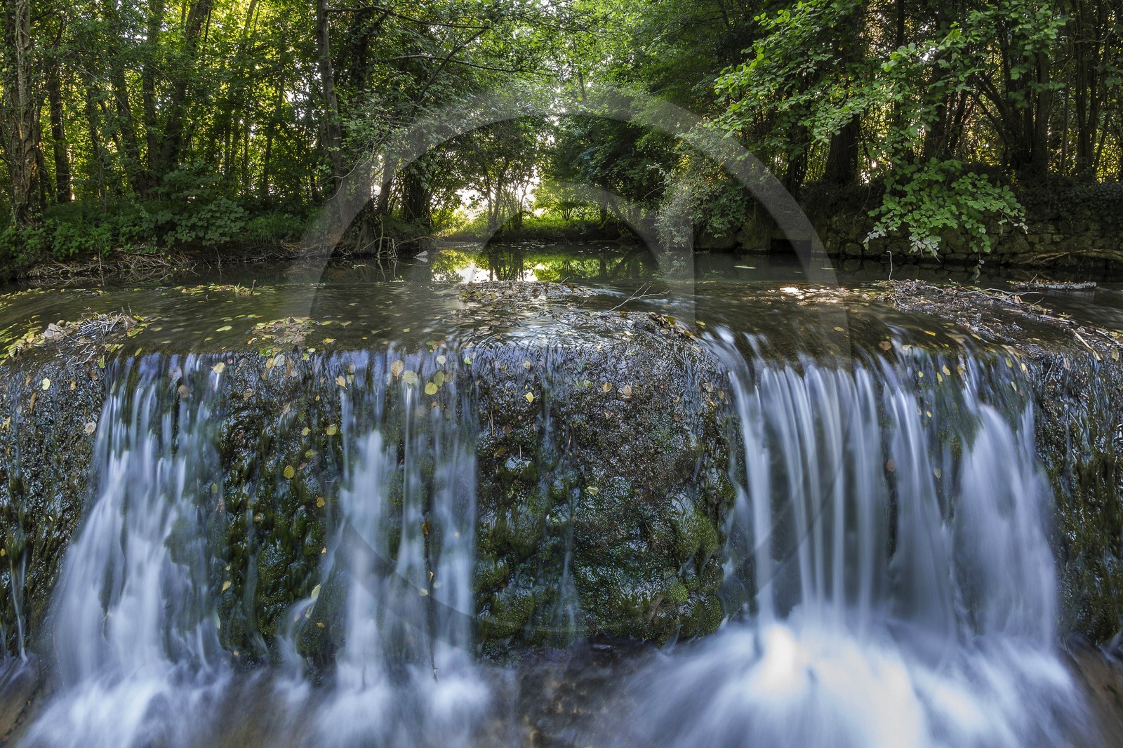 ENS de l'Isère, Zone humide de la Merlière
