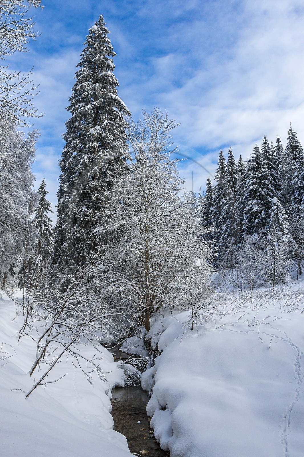 ENS de l'Isère, Les Ecouges