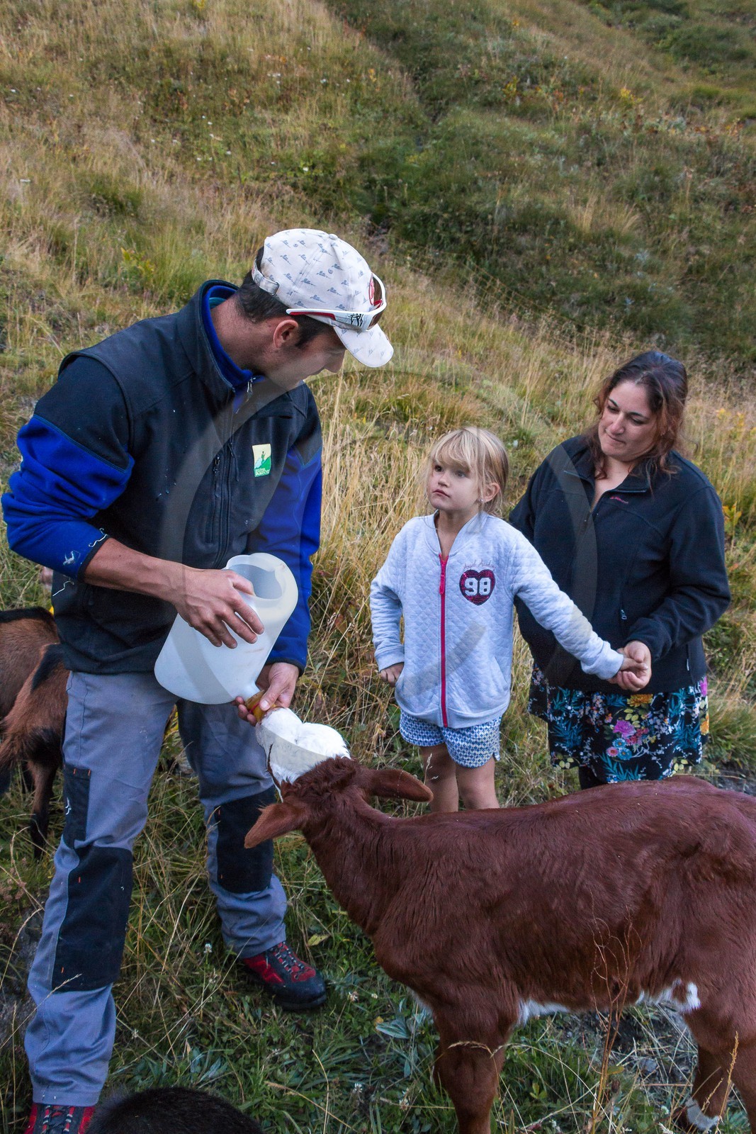 Alpage du Vallon d'en Haut, accueil à l'alpage