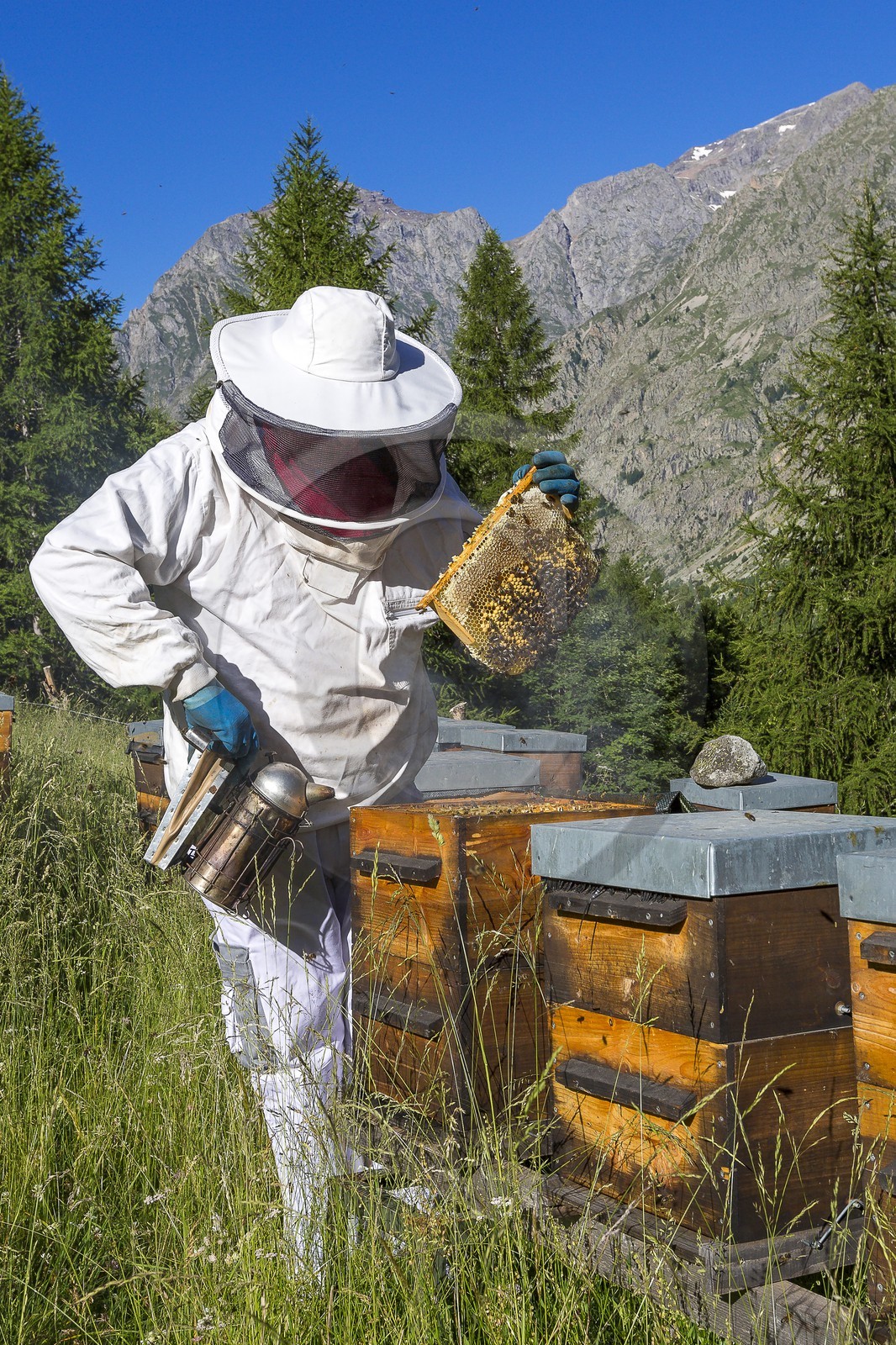 Patrick Challet apiculteur