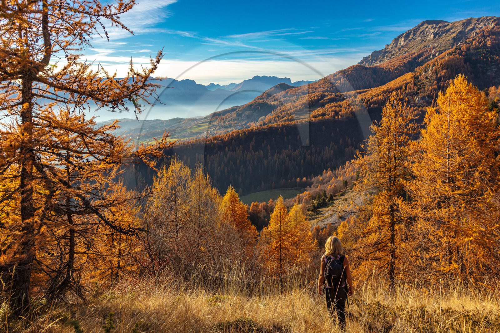 Vallée du Champsaur en automne
