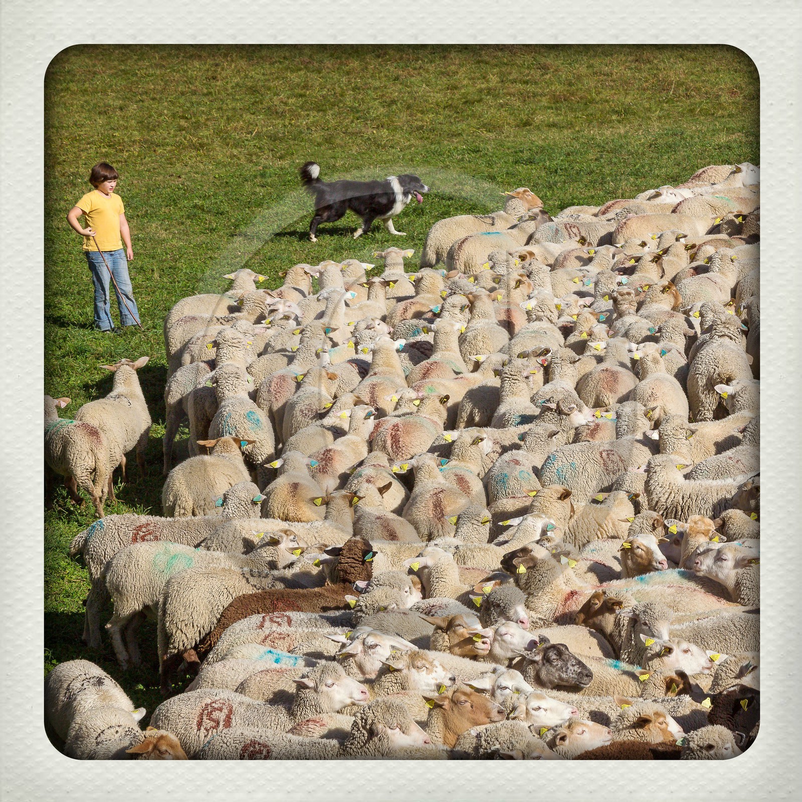 Le Désert, désenmontagnage