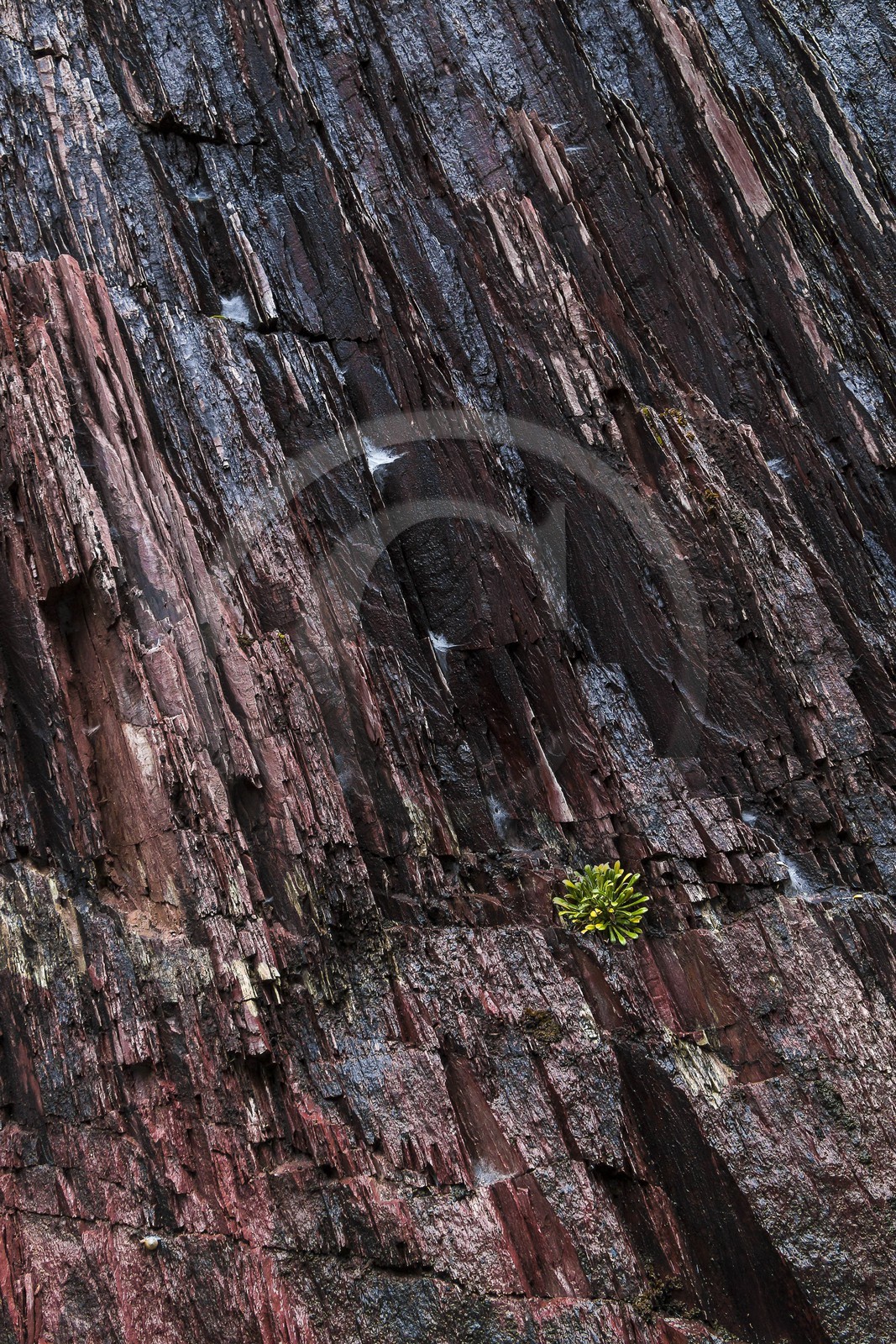 Vallée de la Tinée, Roubion, gorges de la Vionène