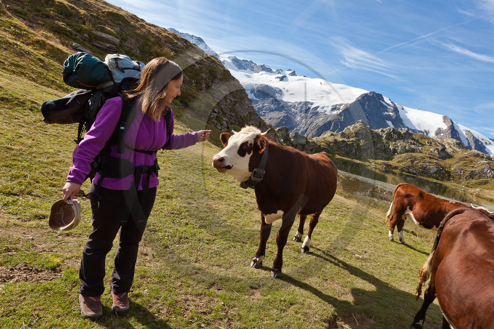 Plateau d'Emparis, Lac Lérié