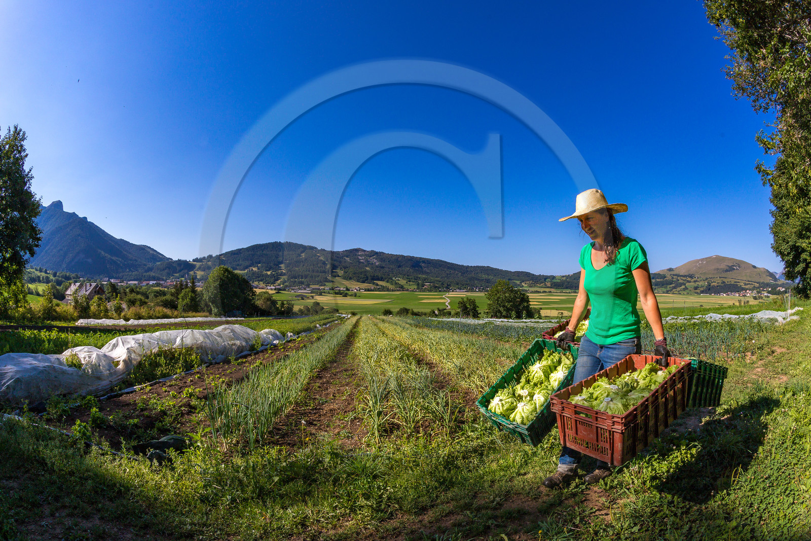 LéguMontagne Sylvie Jaussaud , Maraîchères bio