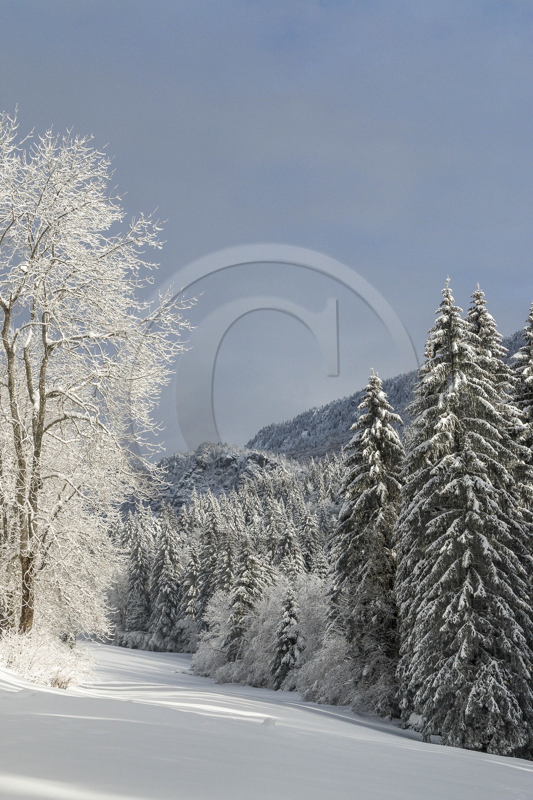 ENS de l'Isère, Les Ecouges