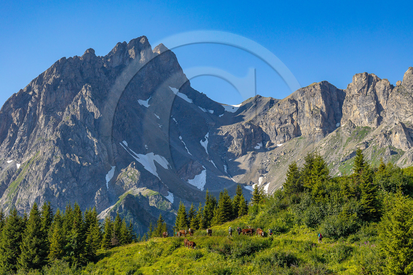 Réserve Naturelle des Contamines-Montjoie, randonnée pédestre