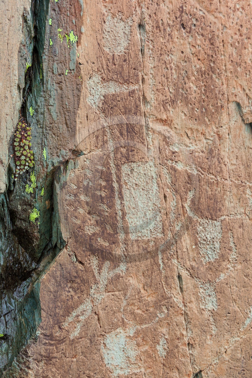 Vallée des Merveilles, gravures rupestres