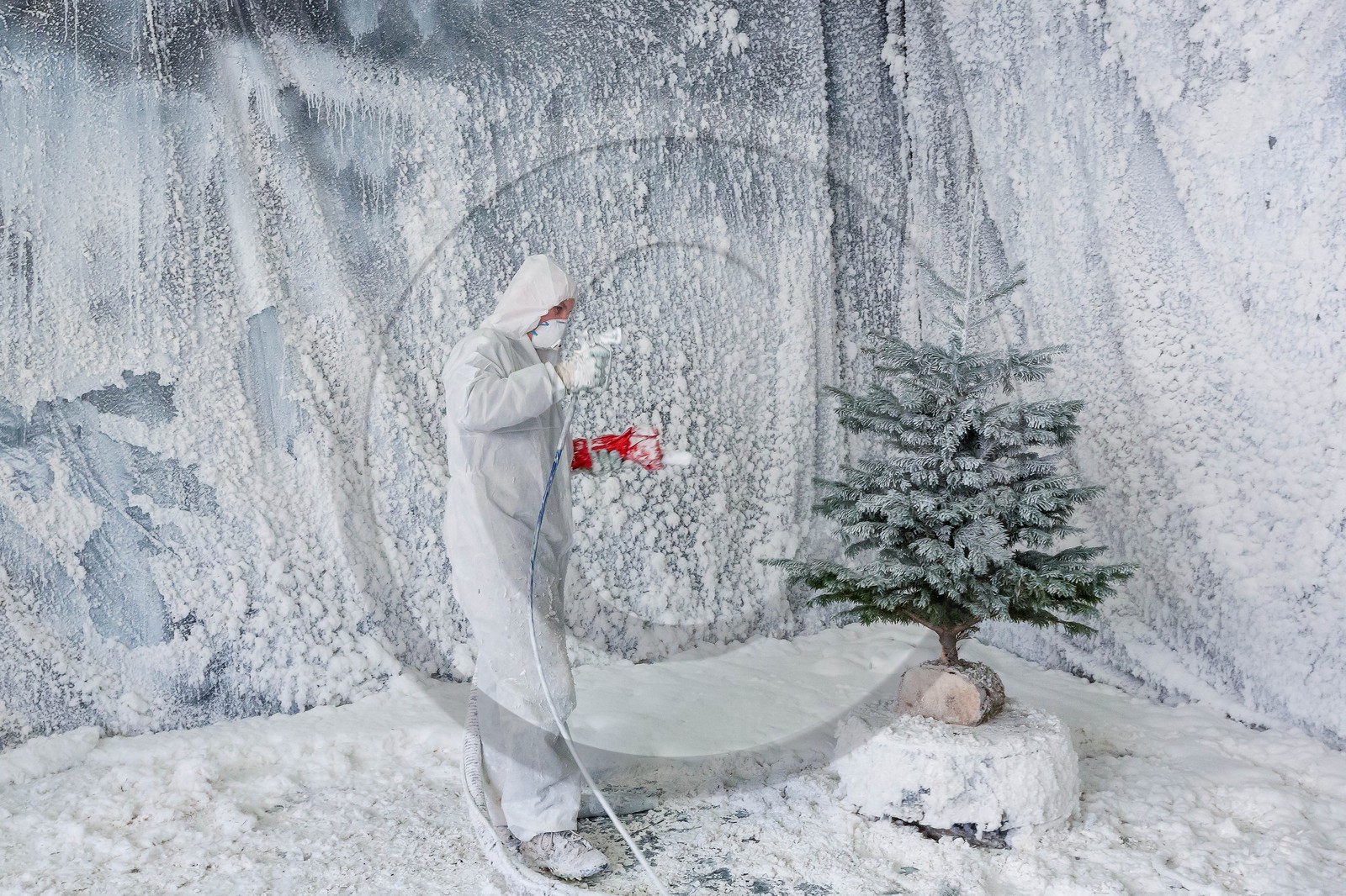 Pépinière Robin, producteur de sapin de Noël