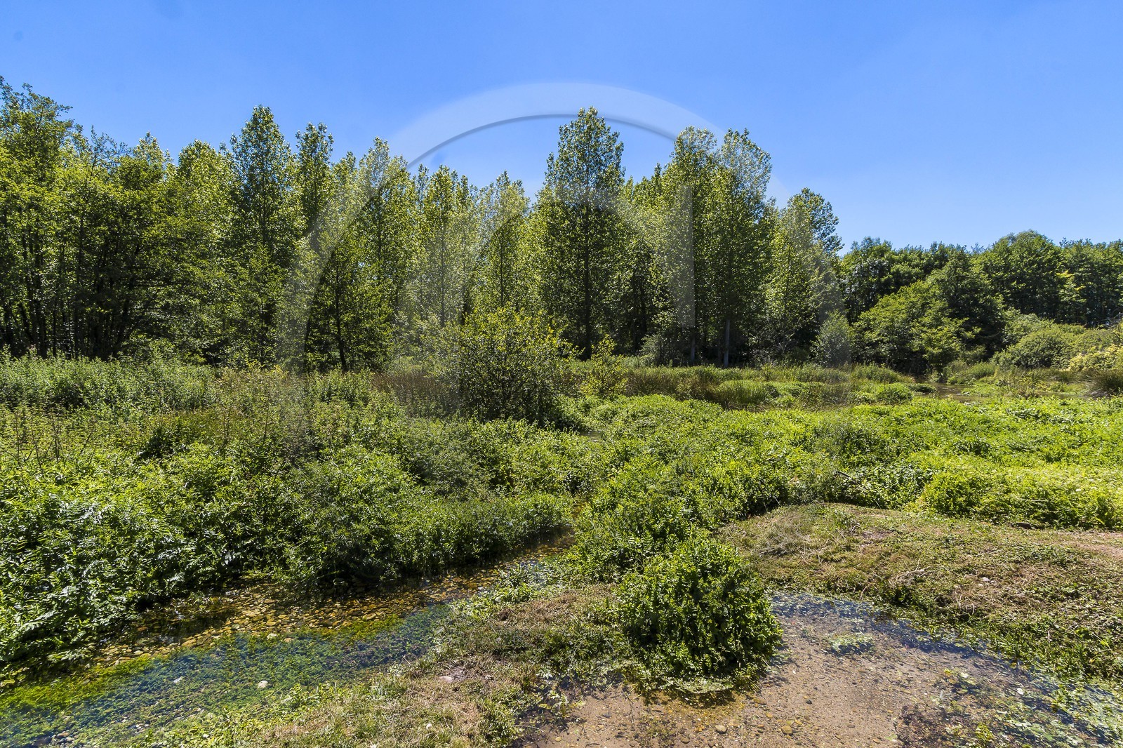 ENS de l'Isère, Les Fontaines de Beaufort
