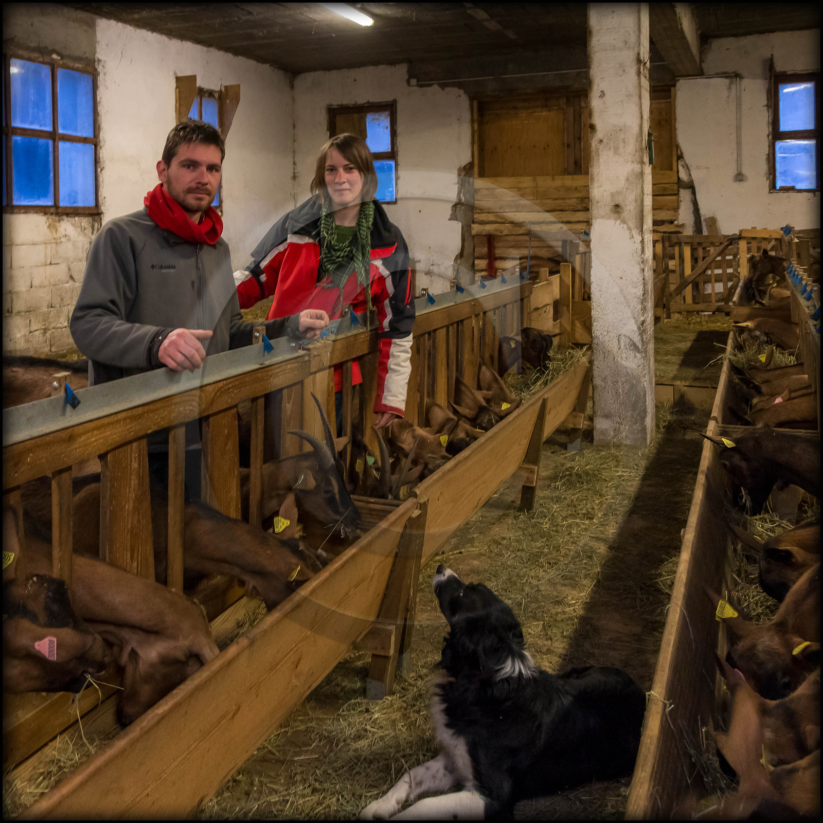 Arvieux, La Chèvrerie des Moulins