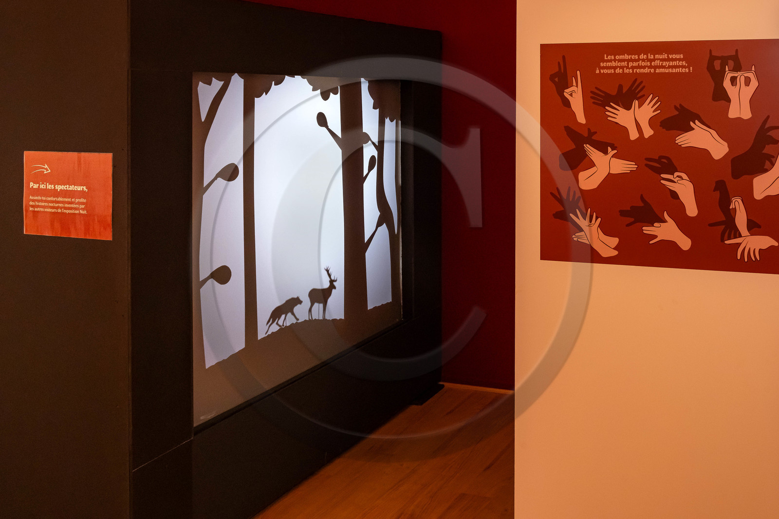 Musée Muséum départemental des Hautes-Alpes, Exposition Nuit