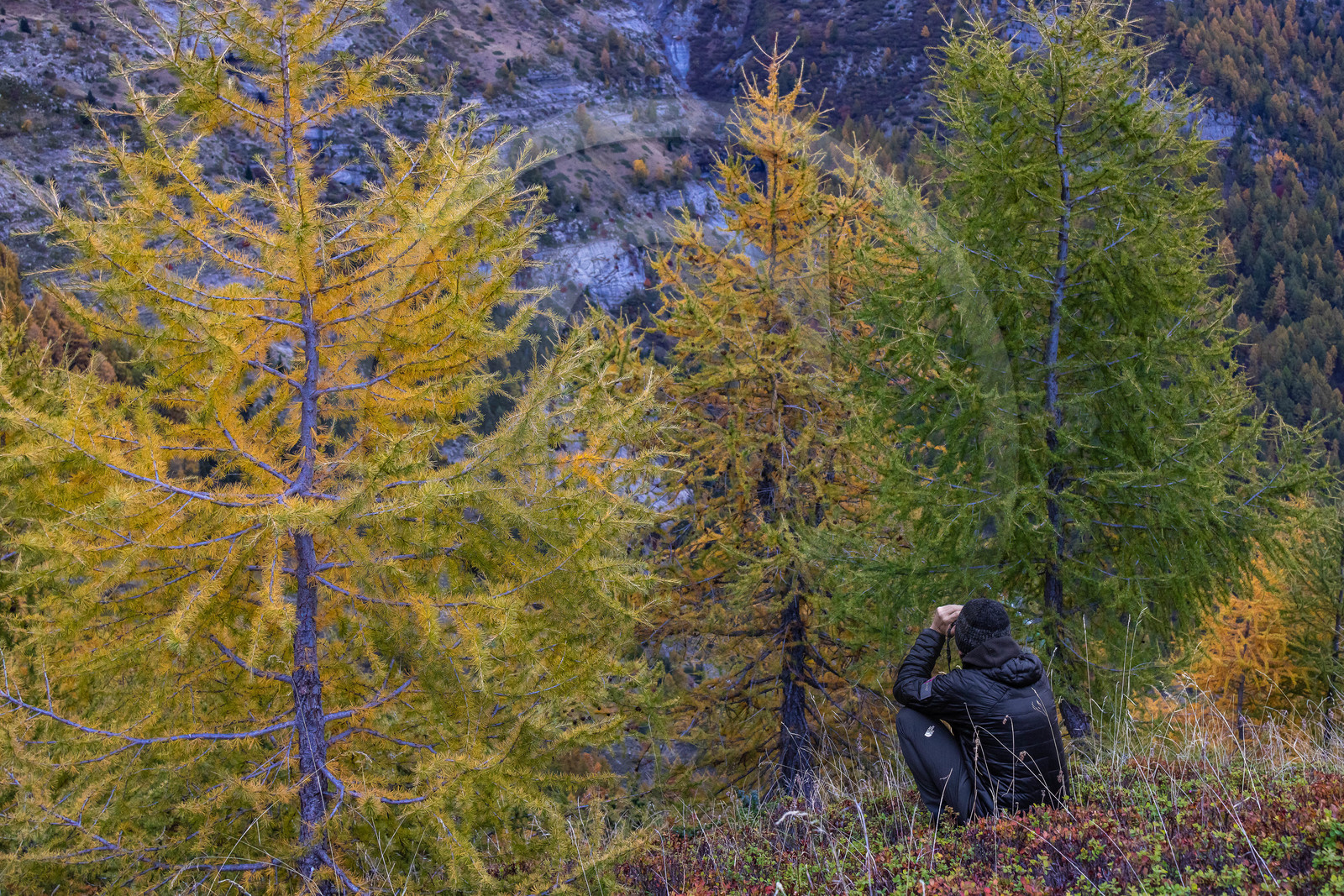 Marc Corail, garde-moniteur du Parc national des Ecrins