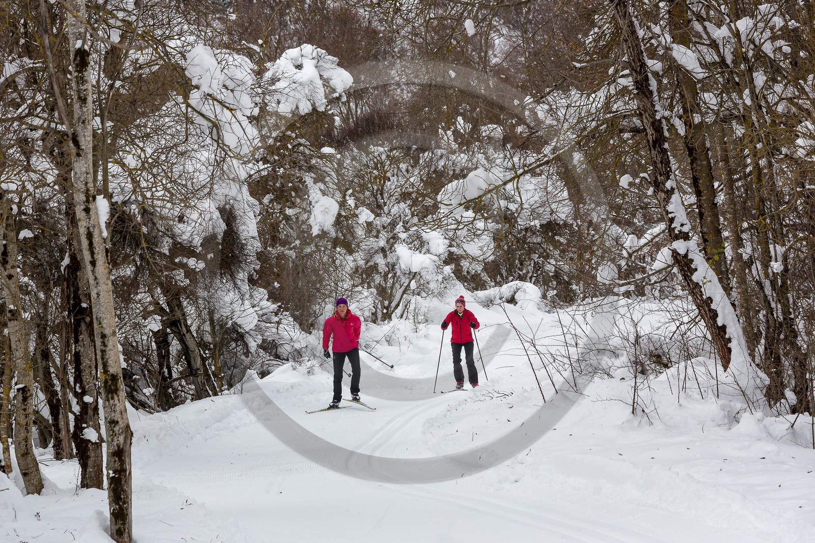 La Chapelle-en-Valgaudemar, ski nordique