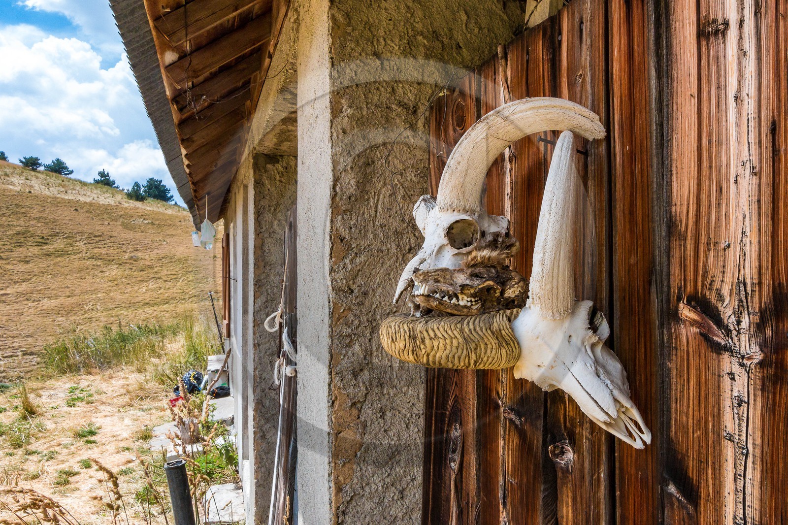 Alpage de Val-Haut, cabane du Grand Val-Haut