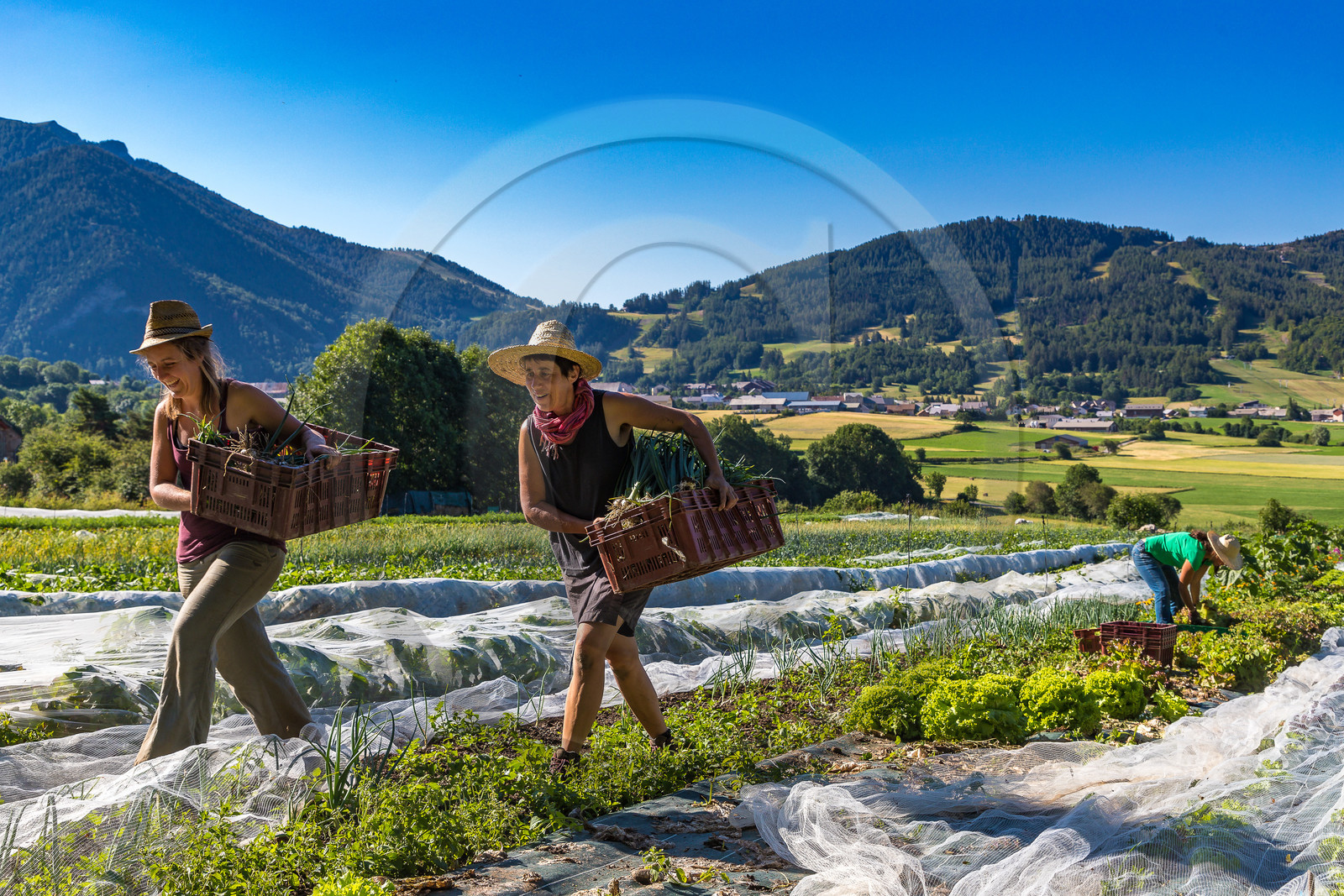 LéguMontagne, Sylvie Jaussaud et  Bertille Gieu, Maraîchères bio