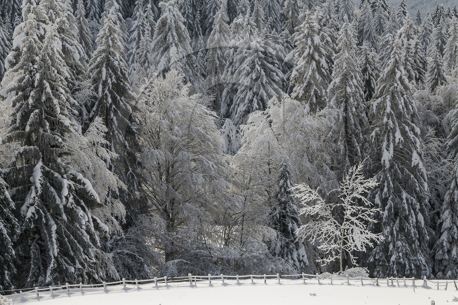 ENS de l'Isère, Les Ecouges
