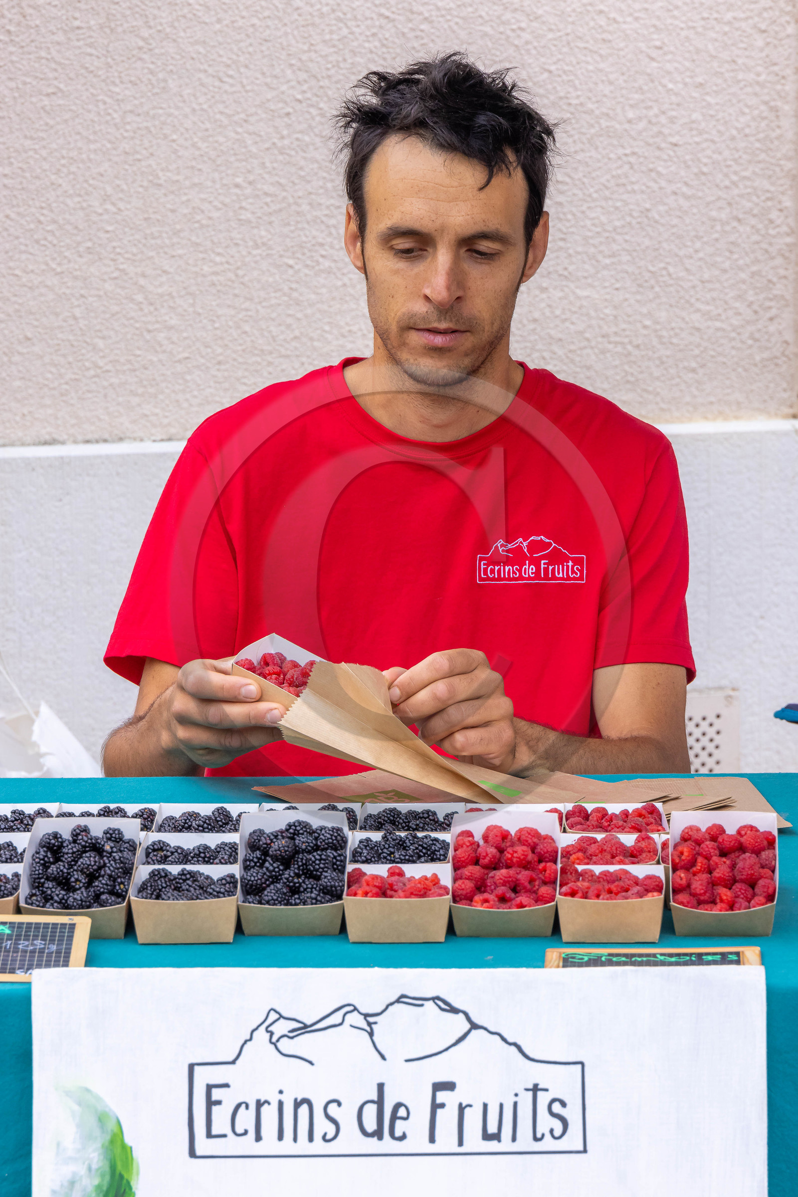 Ecrins de fruits, producteur de fruits rouges
