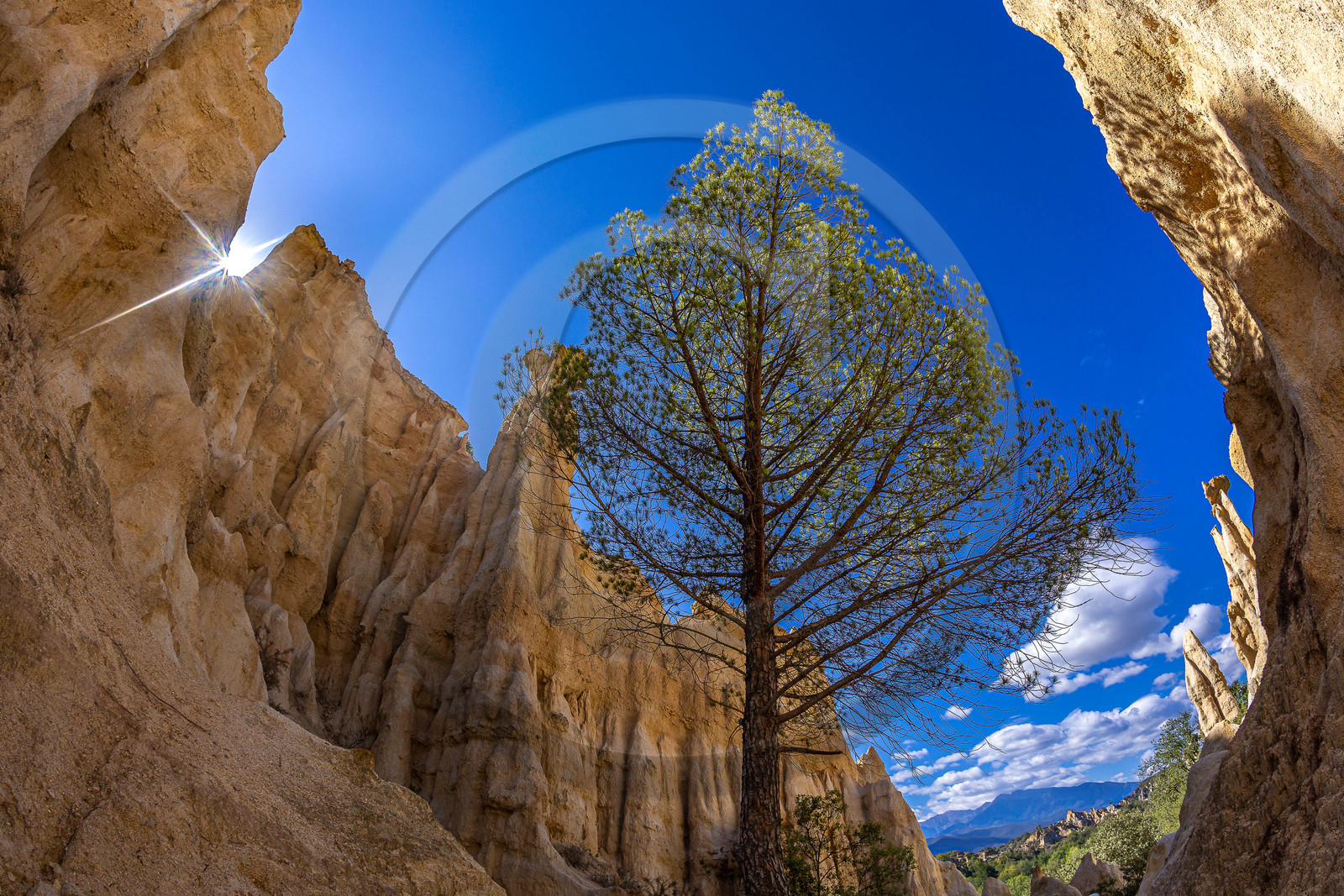 Orgues d'Ille-sur-Têt