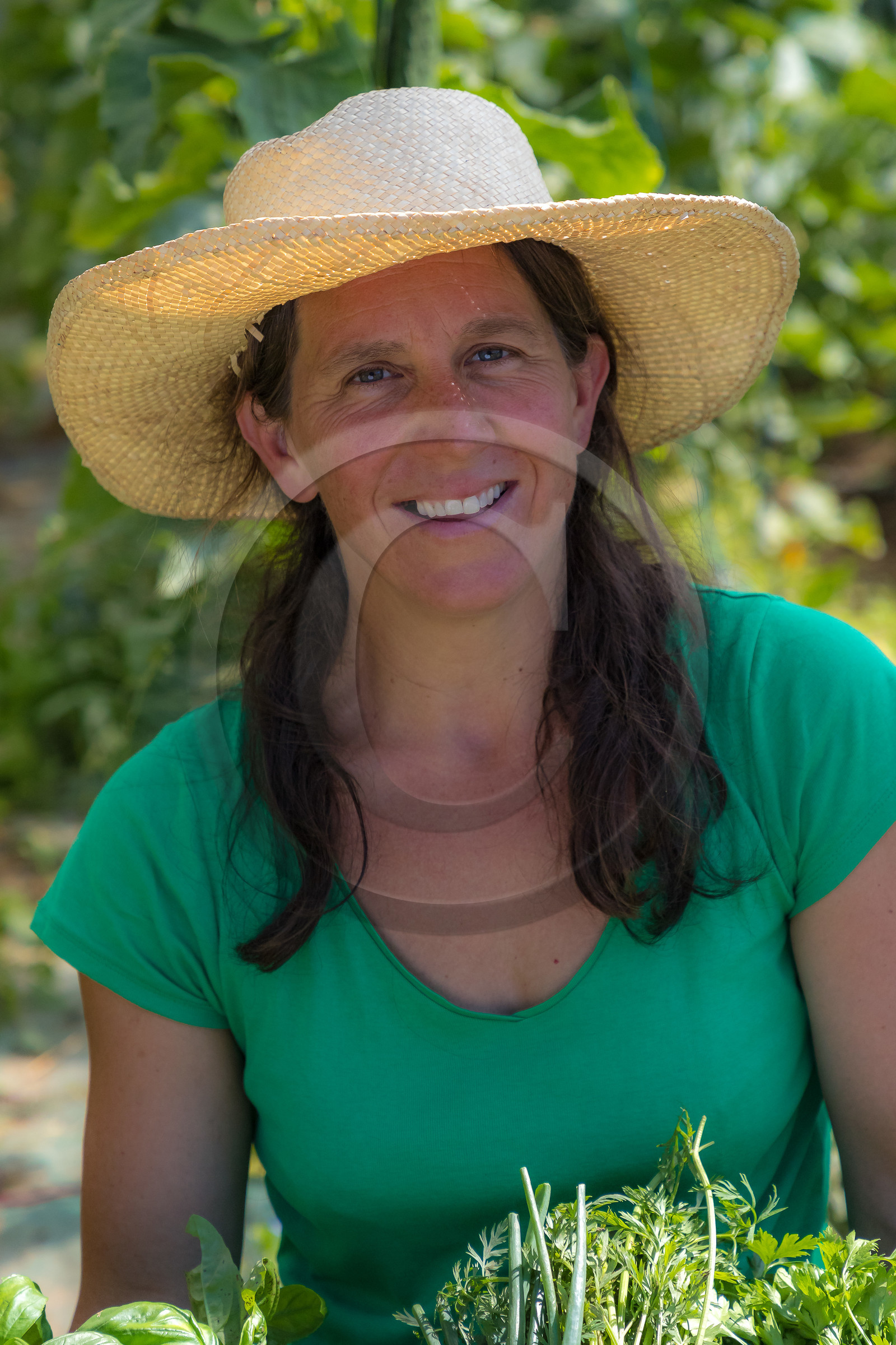 LéguMontagne Sylvie Jaussaud , Maraîchères bio