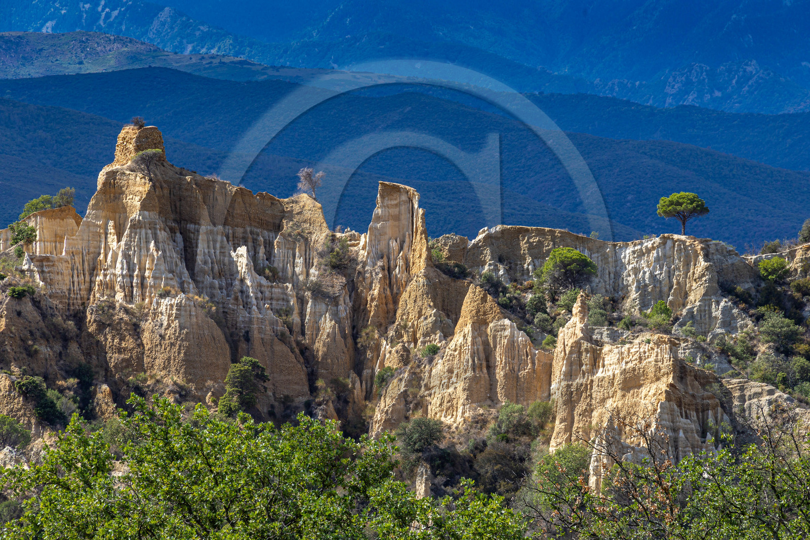 Orgues d'Ille-sur-Têt