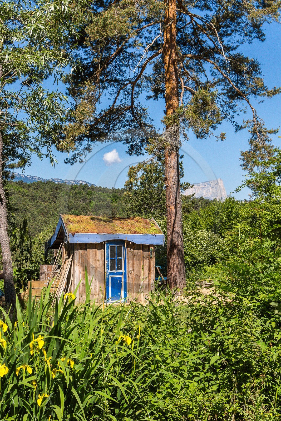 Parc écologique Terre Vivante, stage photo macro nature