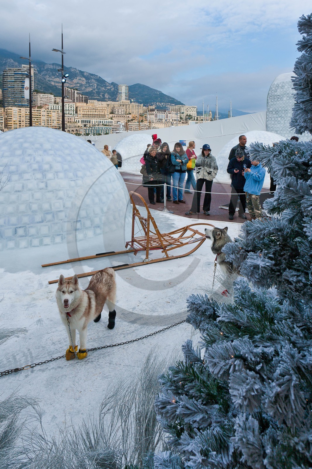 Monaco, exposition de Bertrand Bodin Délices de gel