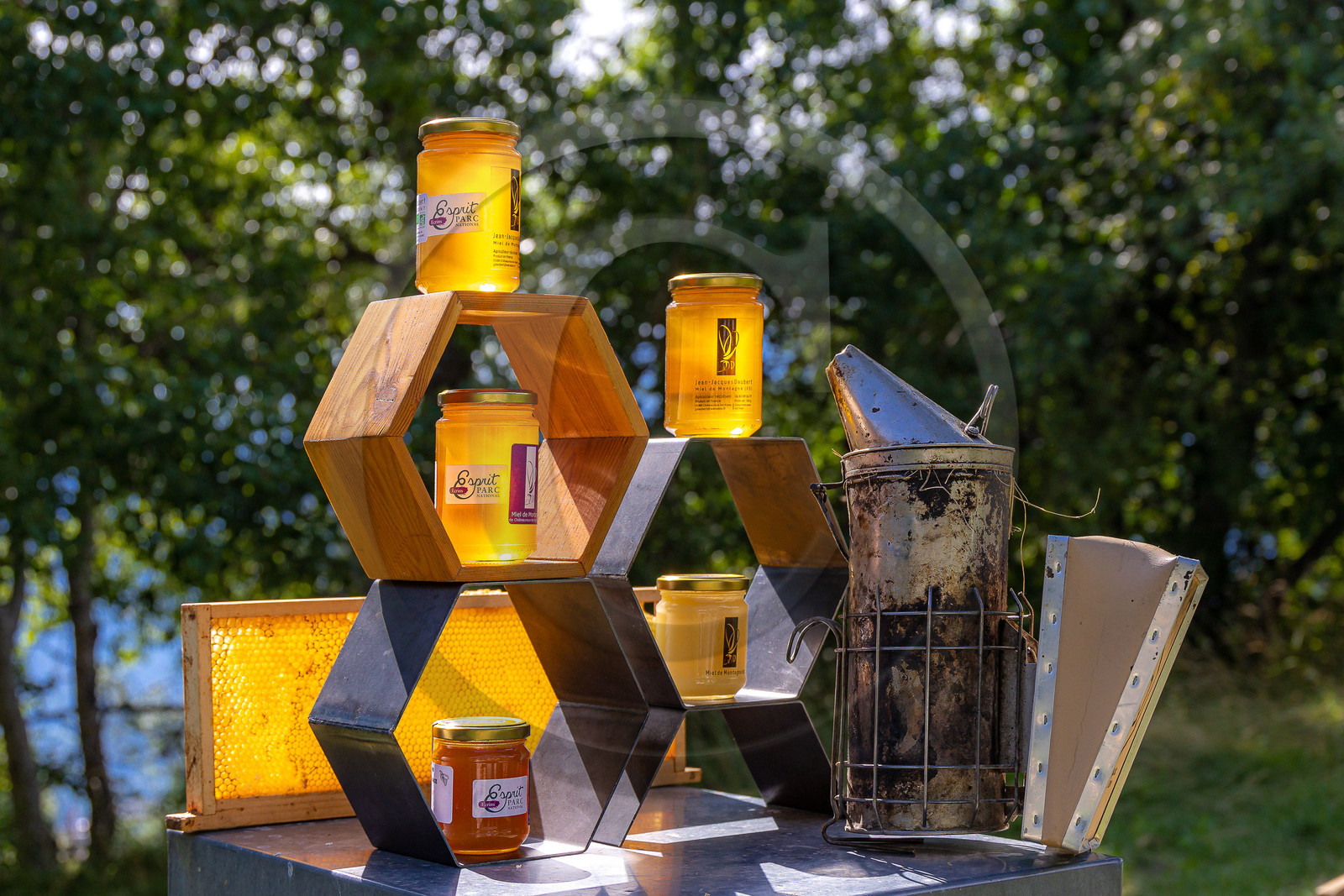 Jean-Jacques Daubert - Apiculteur