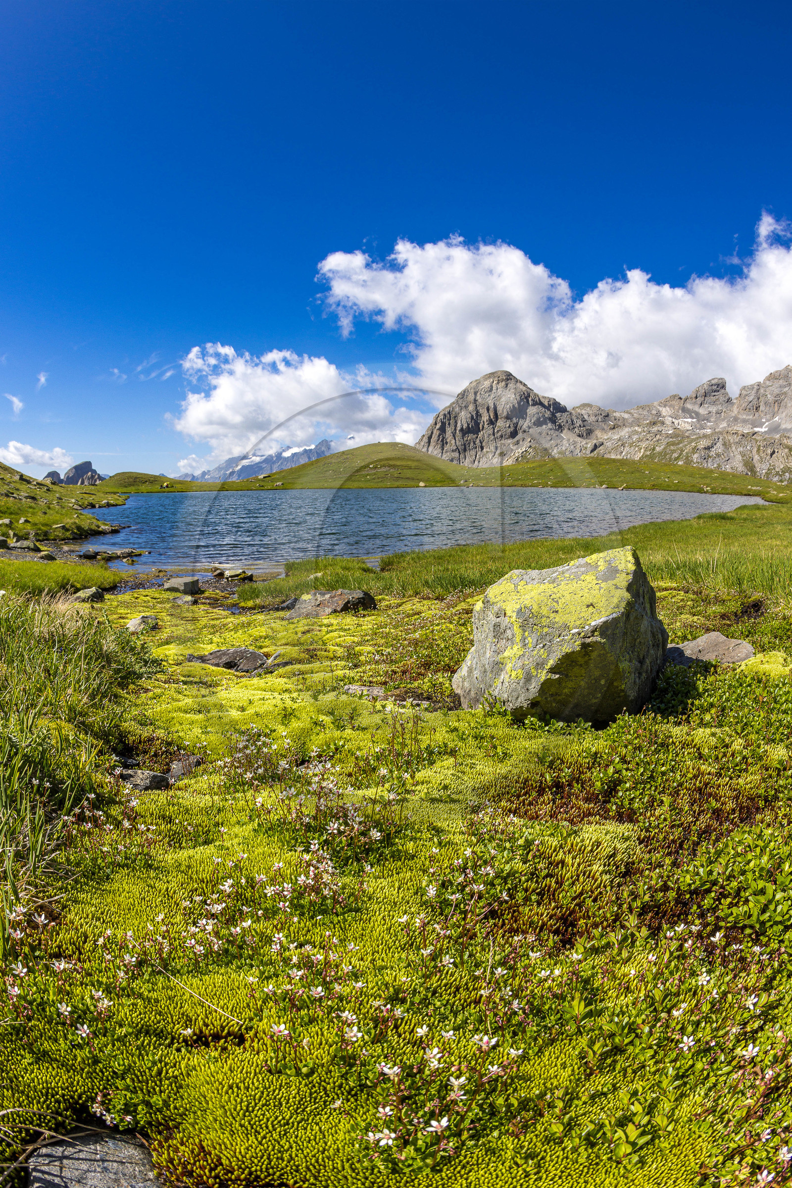Lac de la Ponsonnière