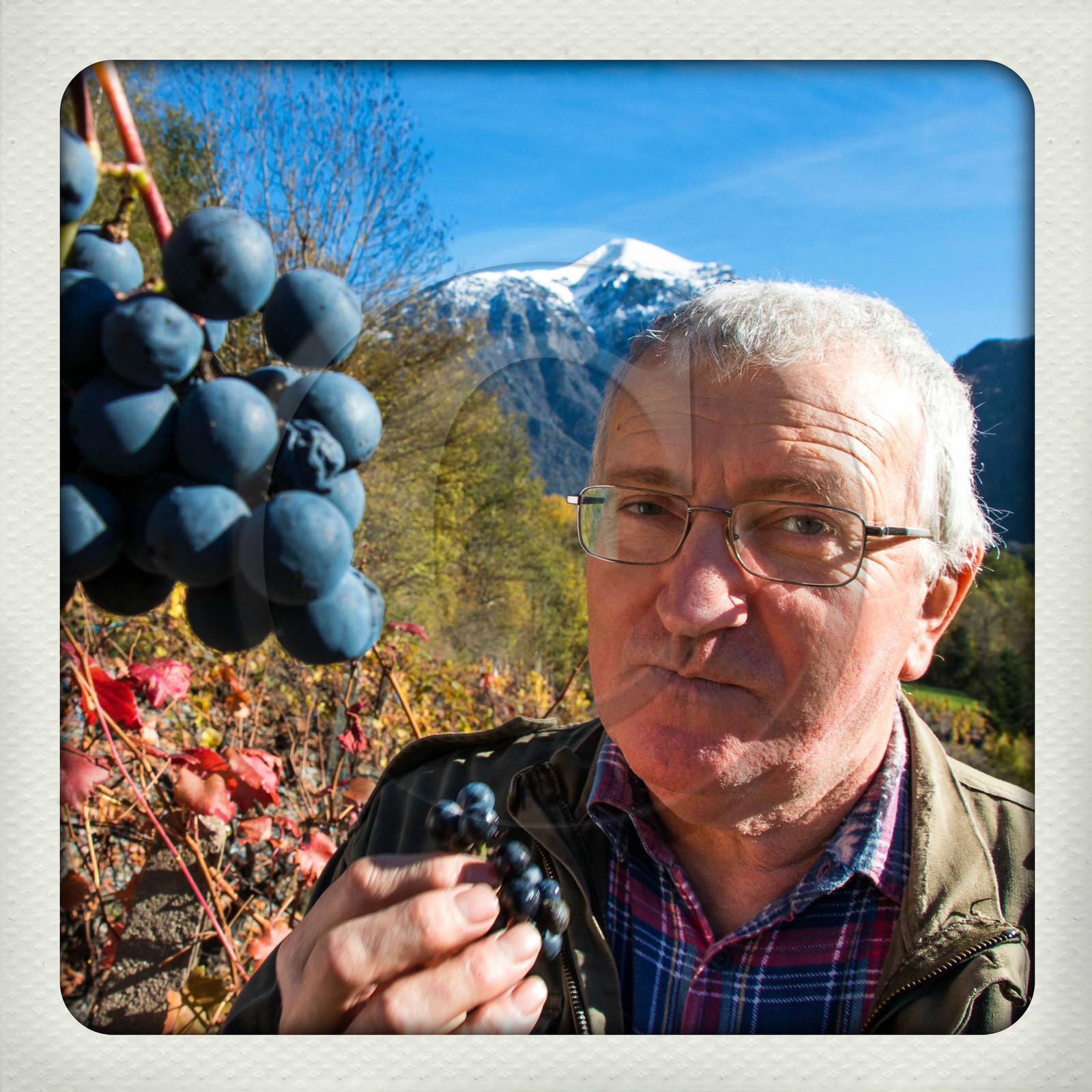 Valbonnais, Les Angelas, les vignes de Blanc-Marquis