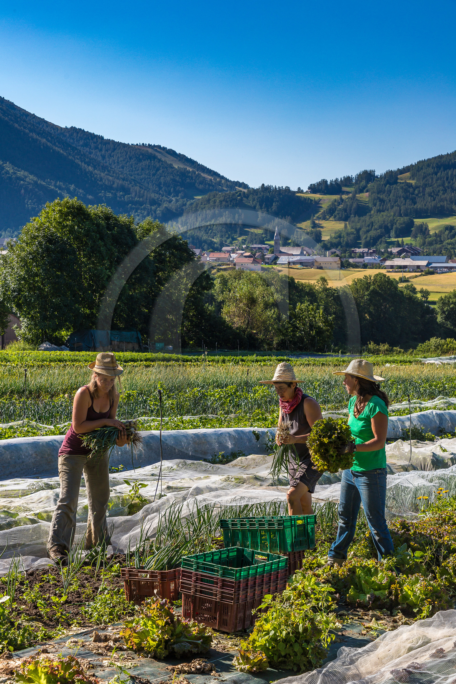 LéguMontagne, Sylvie Jaussaud et  Bertille Gieu, Maraîchères bio