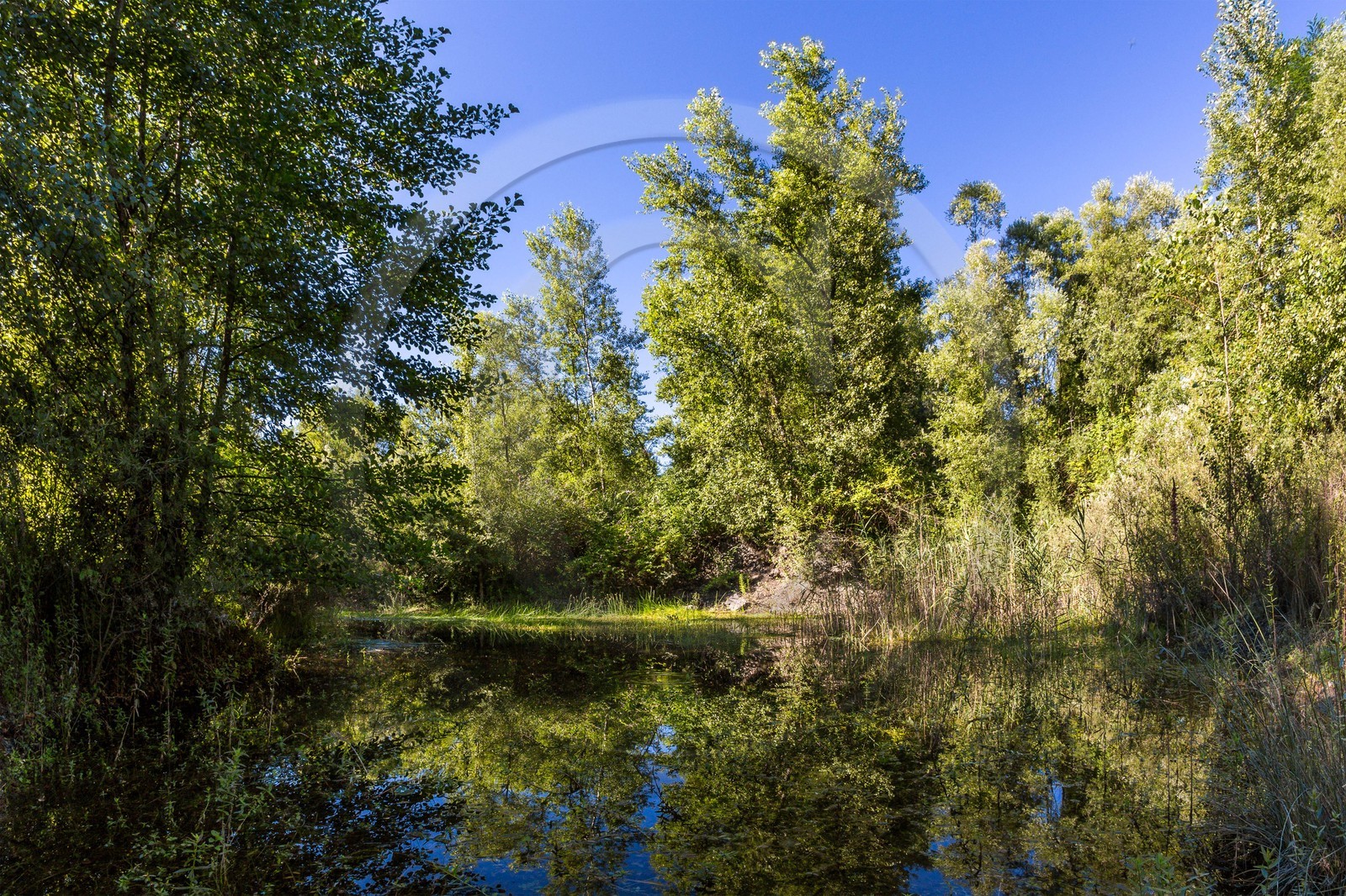 ENS de l'Isère, espace alluvial de la Rolande