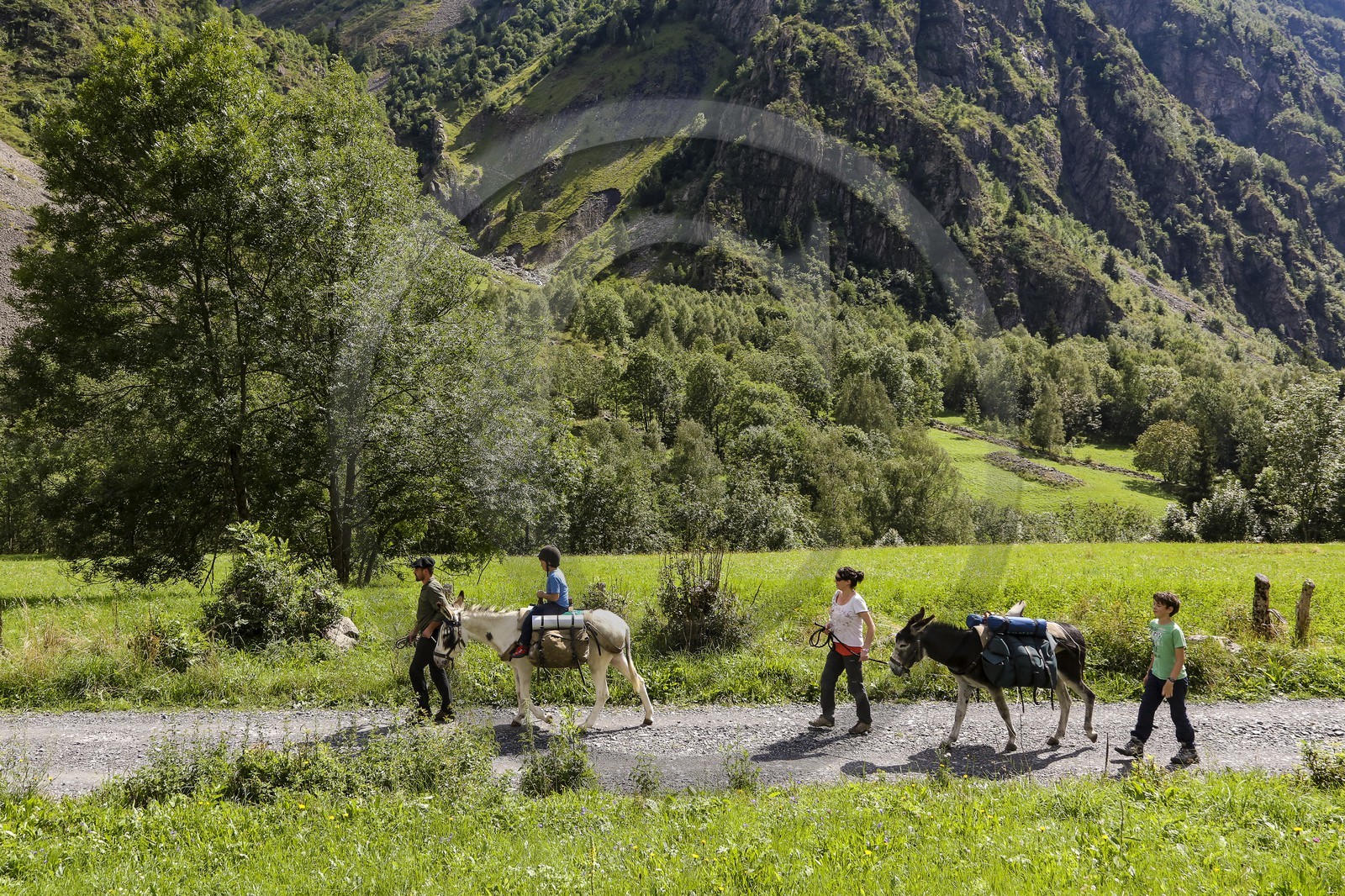 Yohann Masnada, accompagnateur ânier