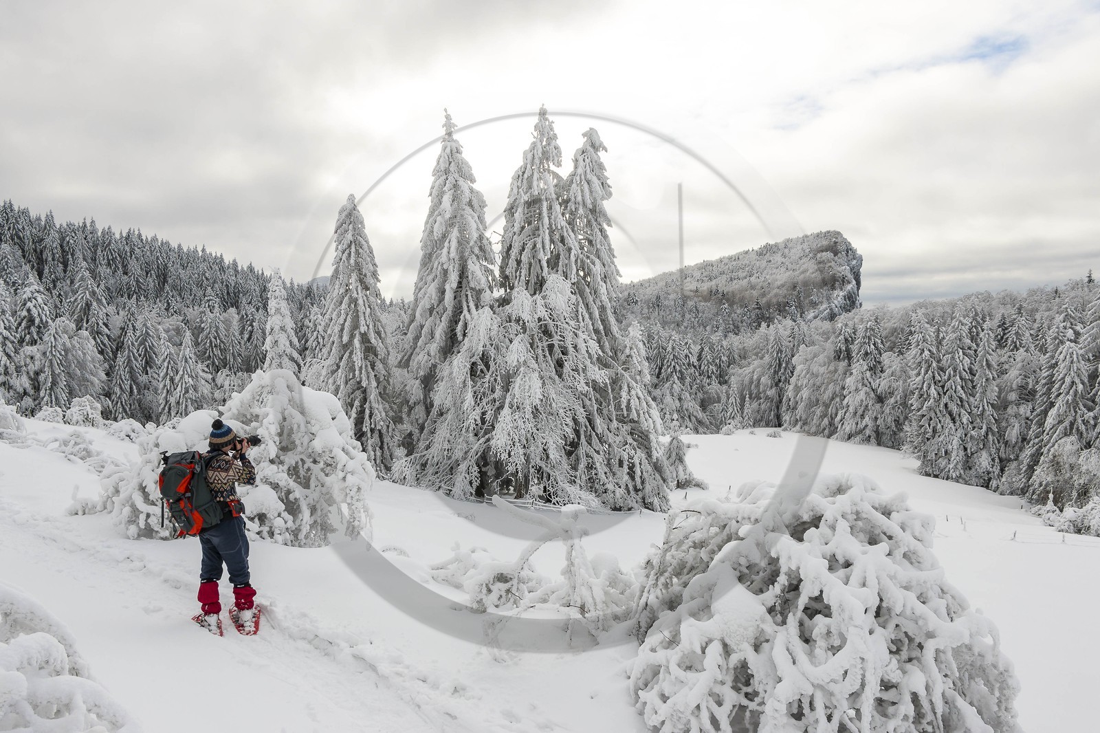 ENS de l'Isère, Les Ecouges