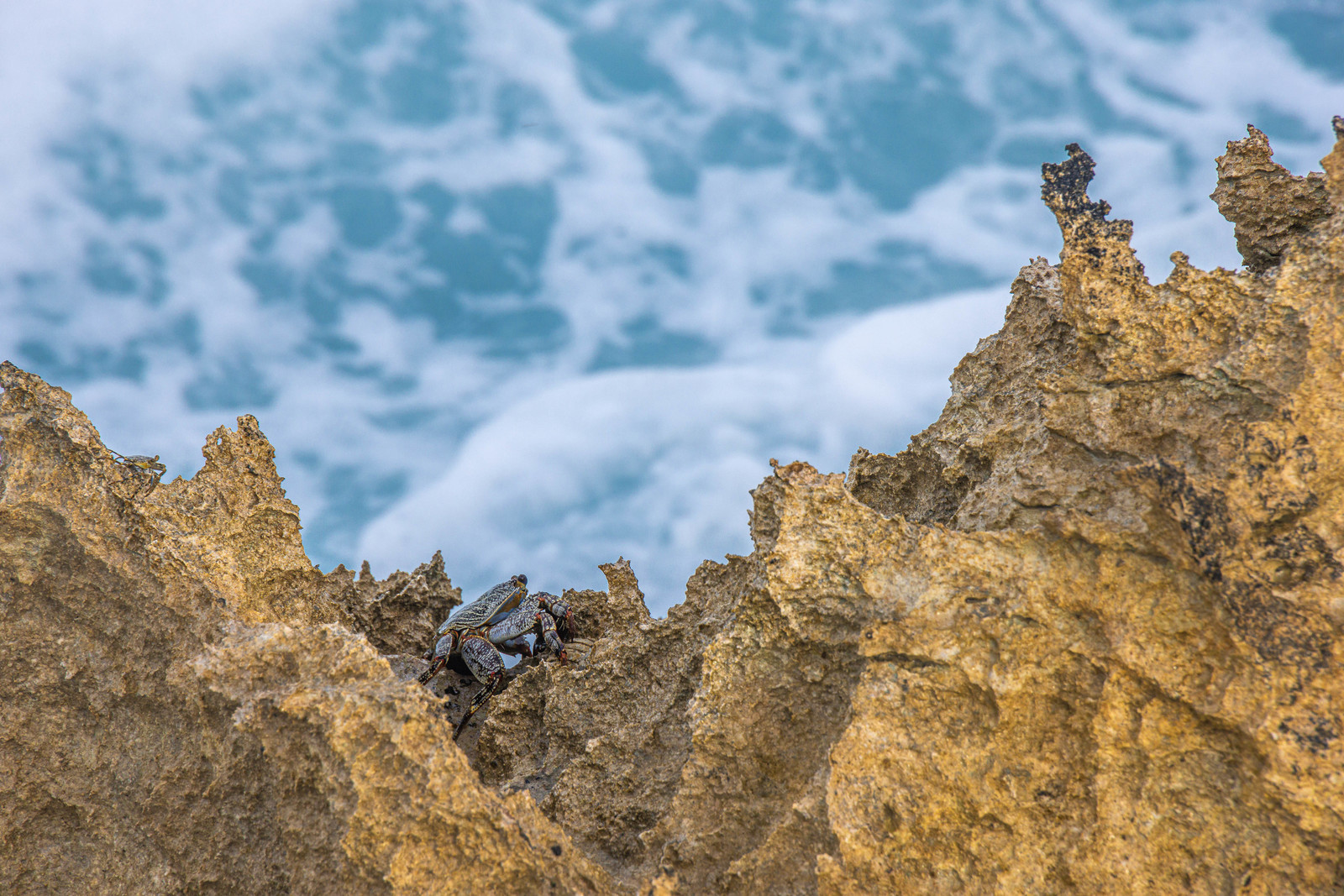 Guadeloupe, Saint-François, Pointe des Chateaux