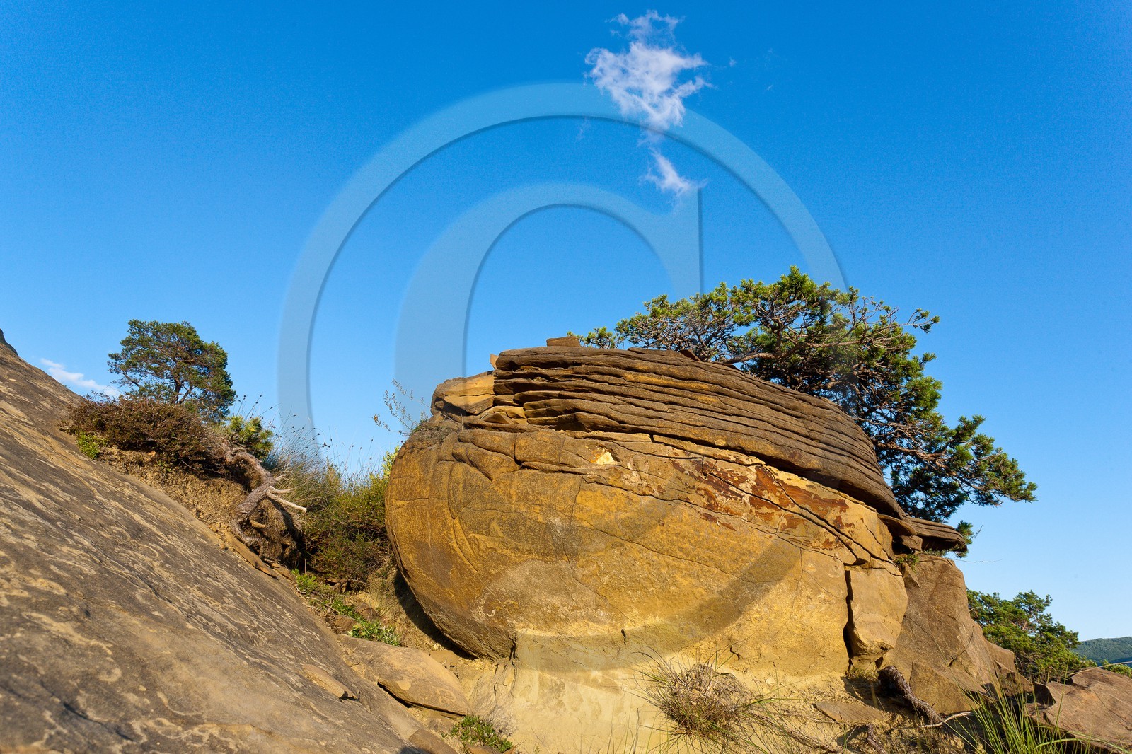 Saint-André de Rosans
