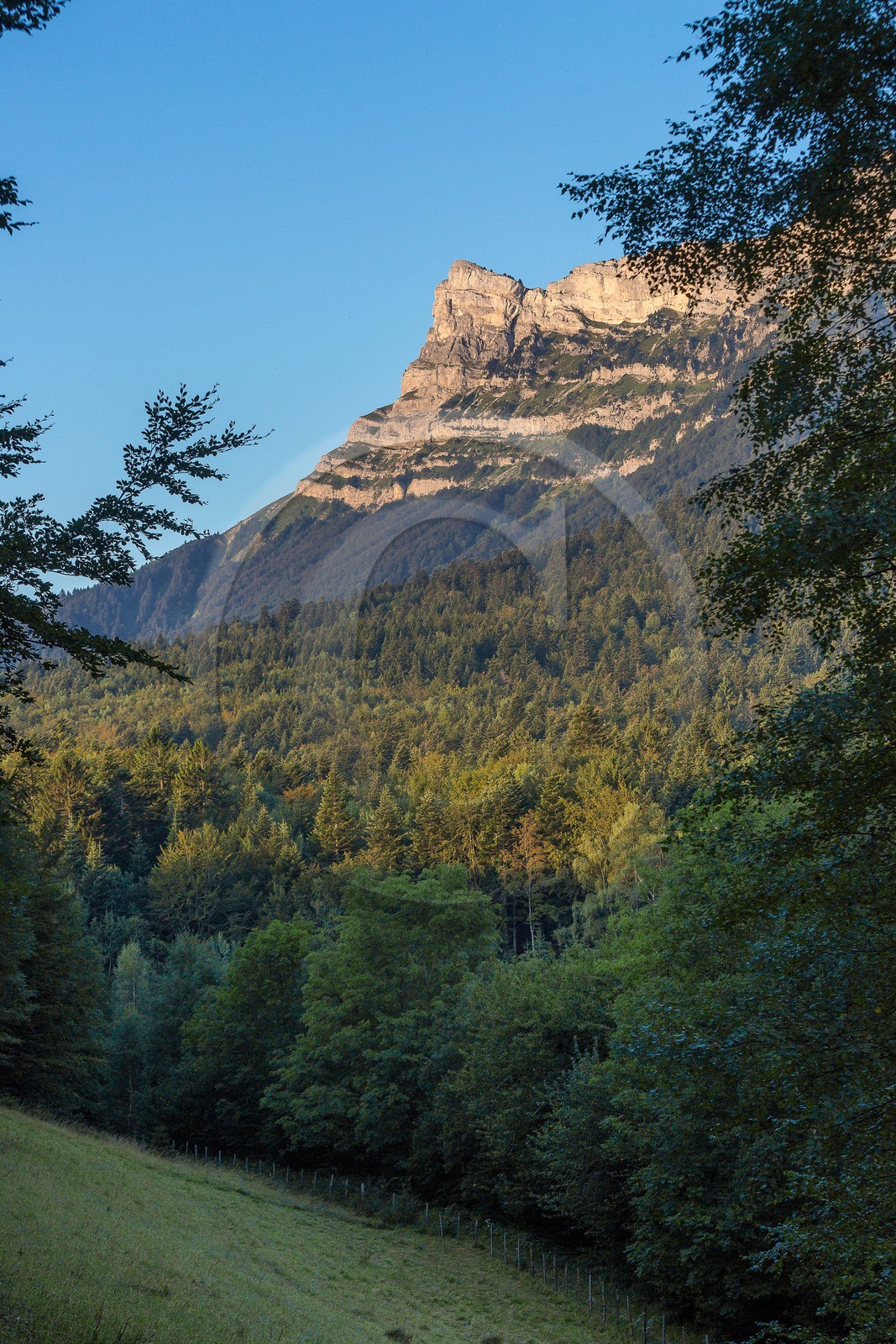 ENS de l'Isère,Tourbières du Peuil