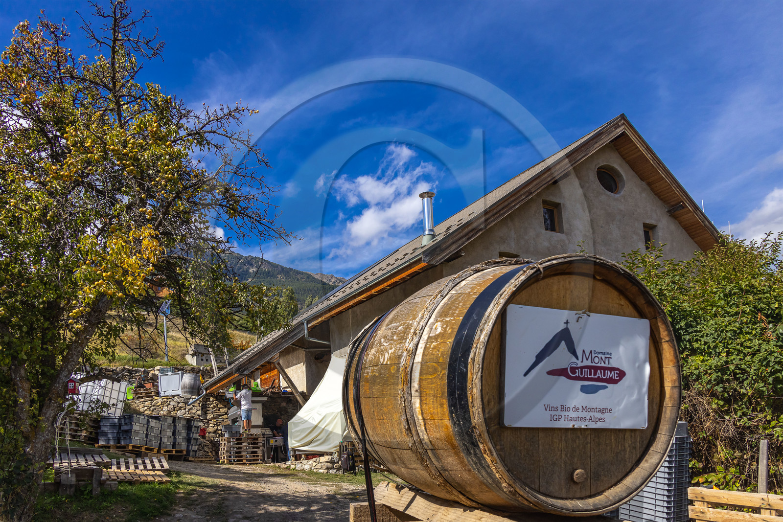 Domaine du Mont Guillaume