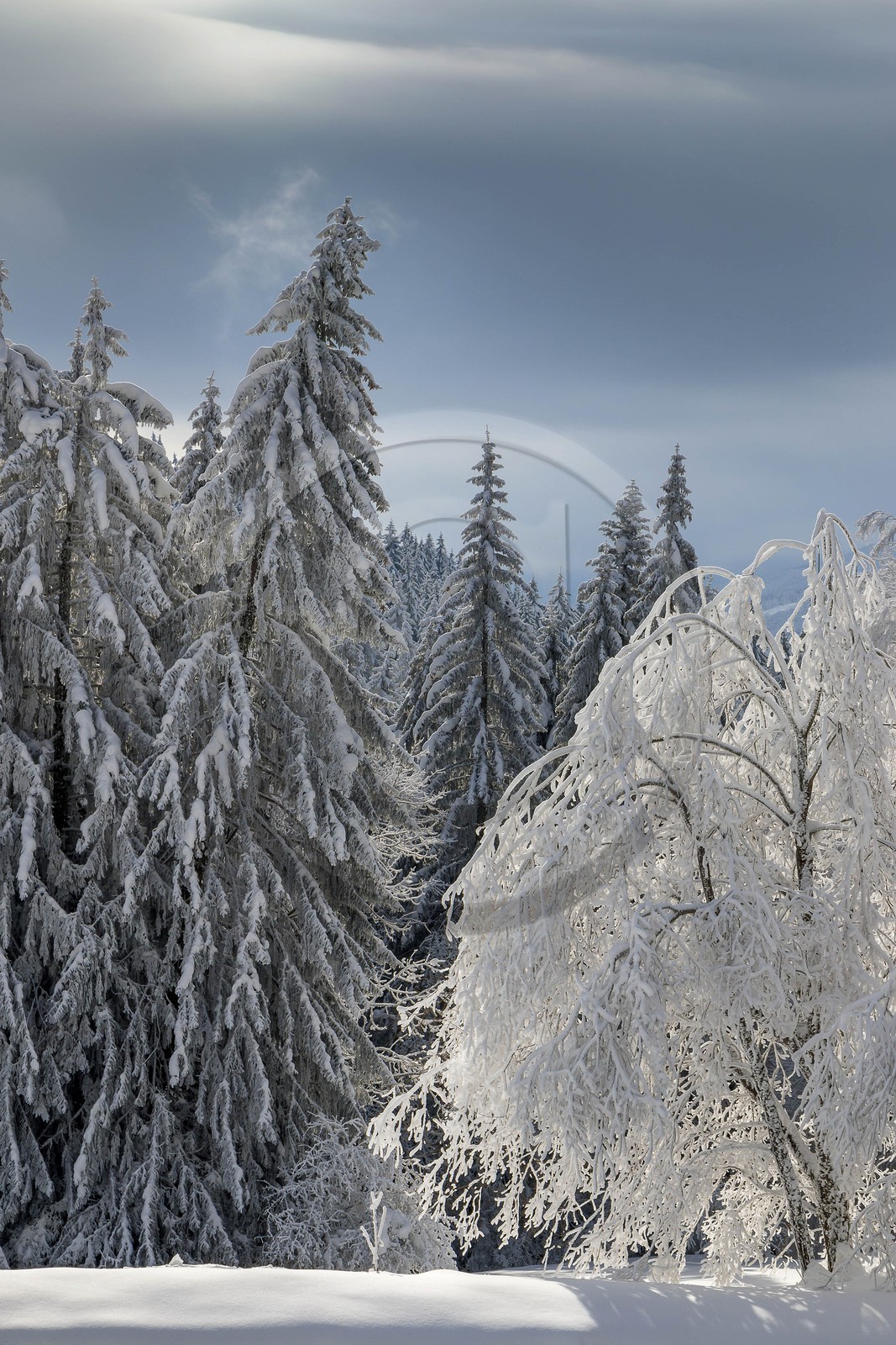 ENS de l'Isère, Les Ecouges