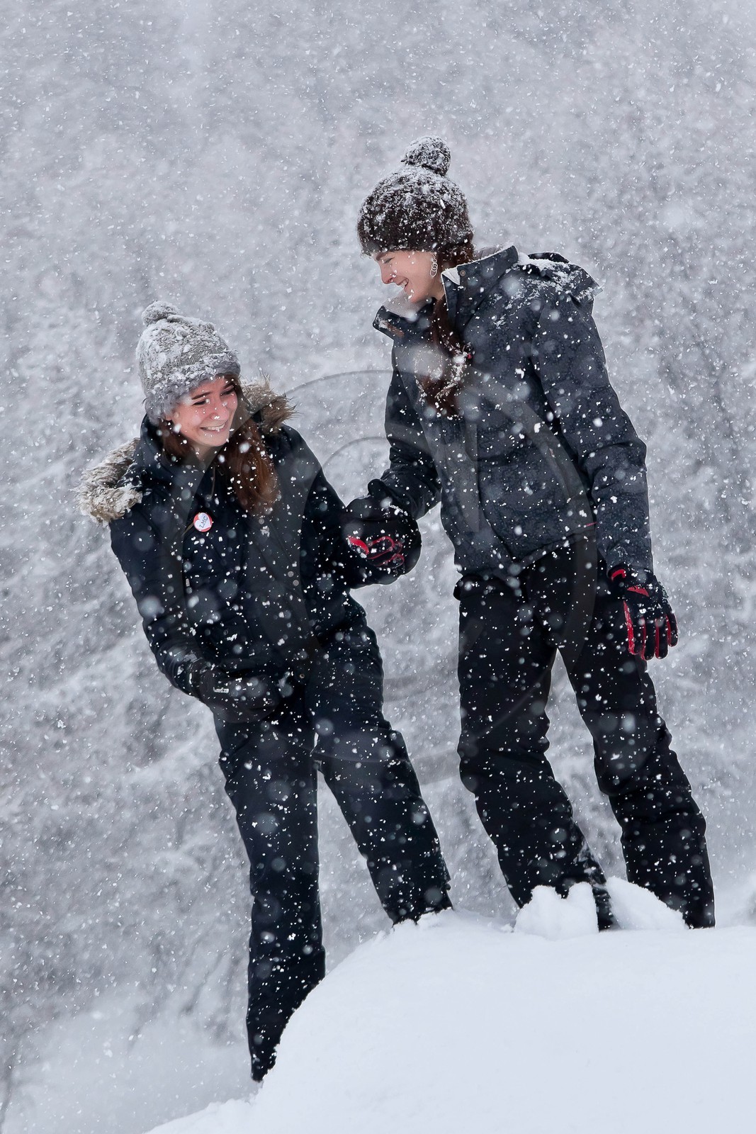 Hiver, randonnée balade sous la neige
