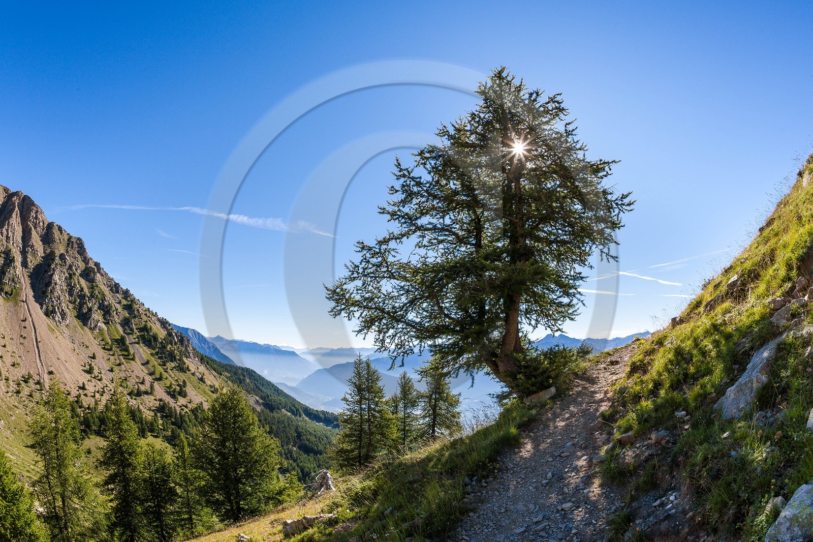 Randonnée pédestre du Mont Guillaume,