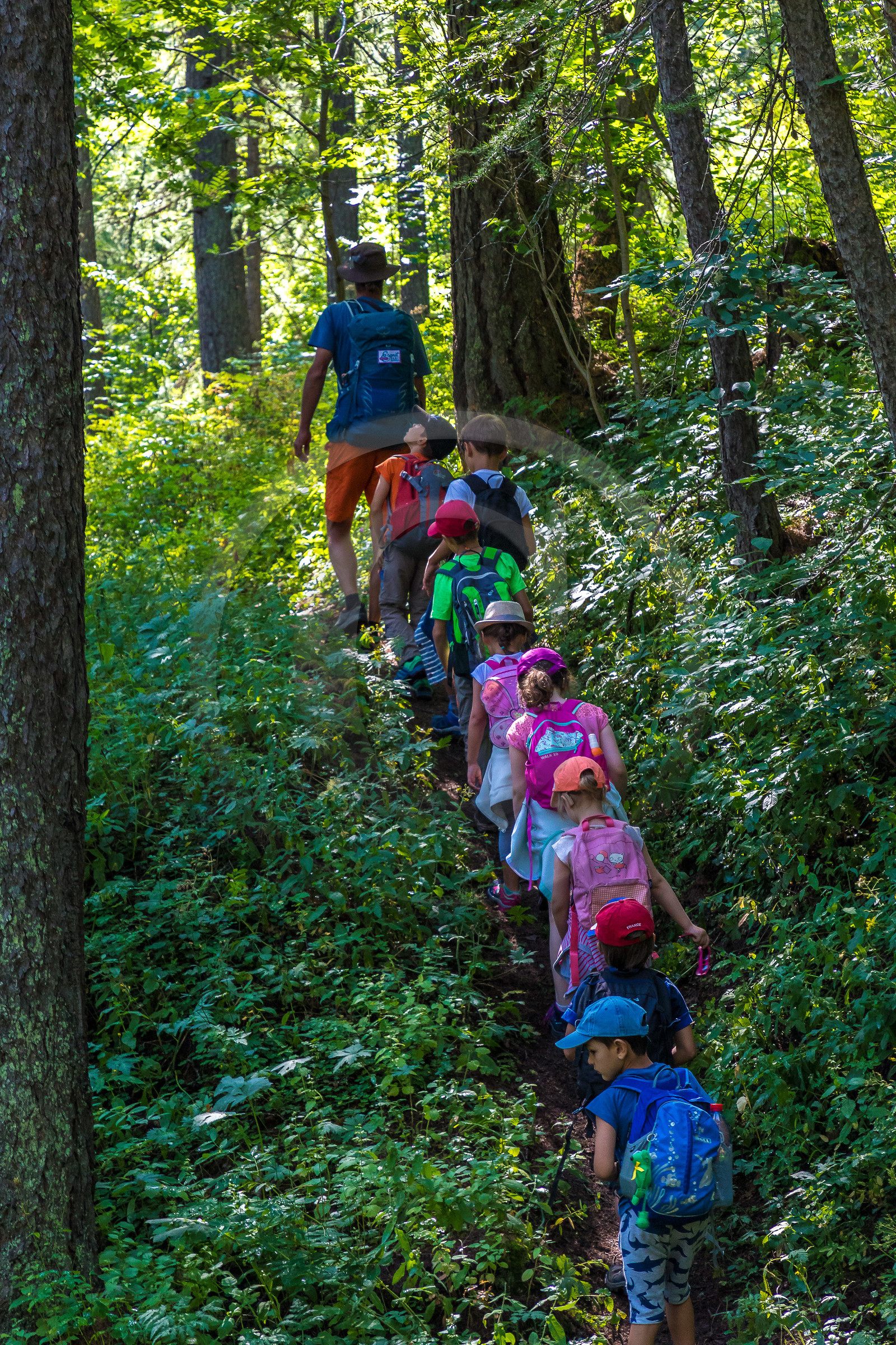 Curieux de nature, sortie découverte avec Cyril Mahout