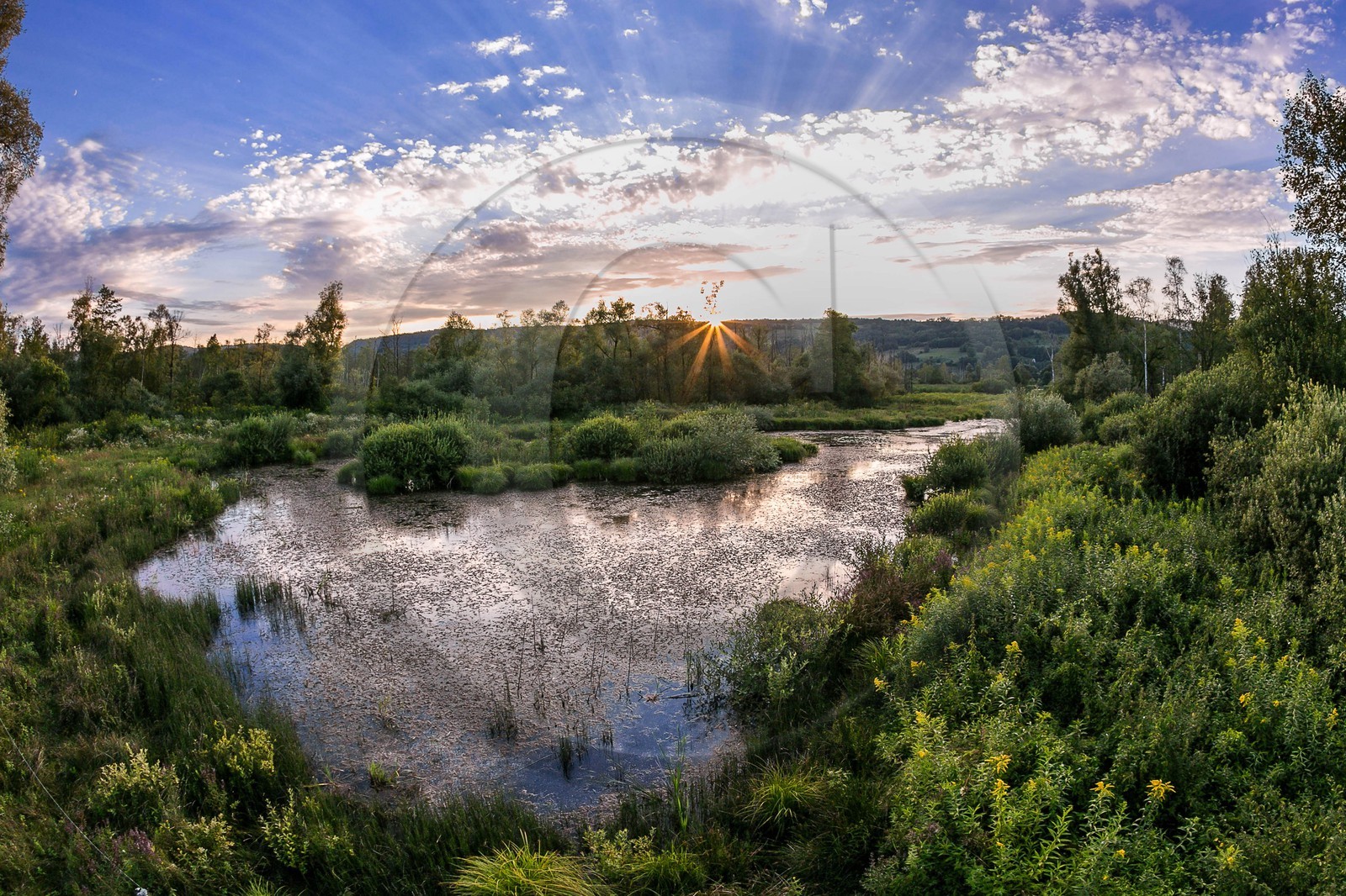 ENS de l'Isère, Tourbières de l'Herretang