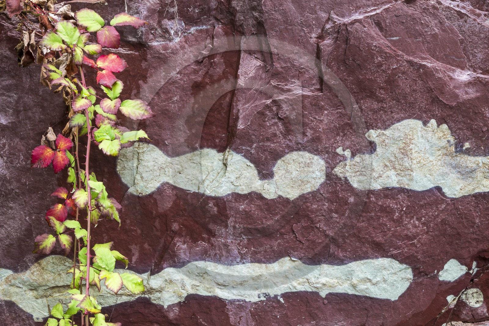 Vallée de la Tinée, Roubion, gorges de la Vionène