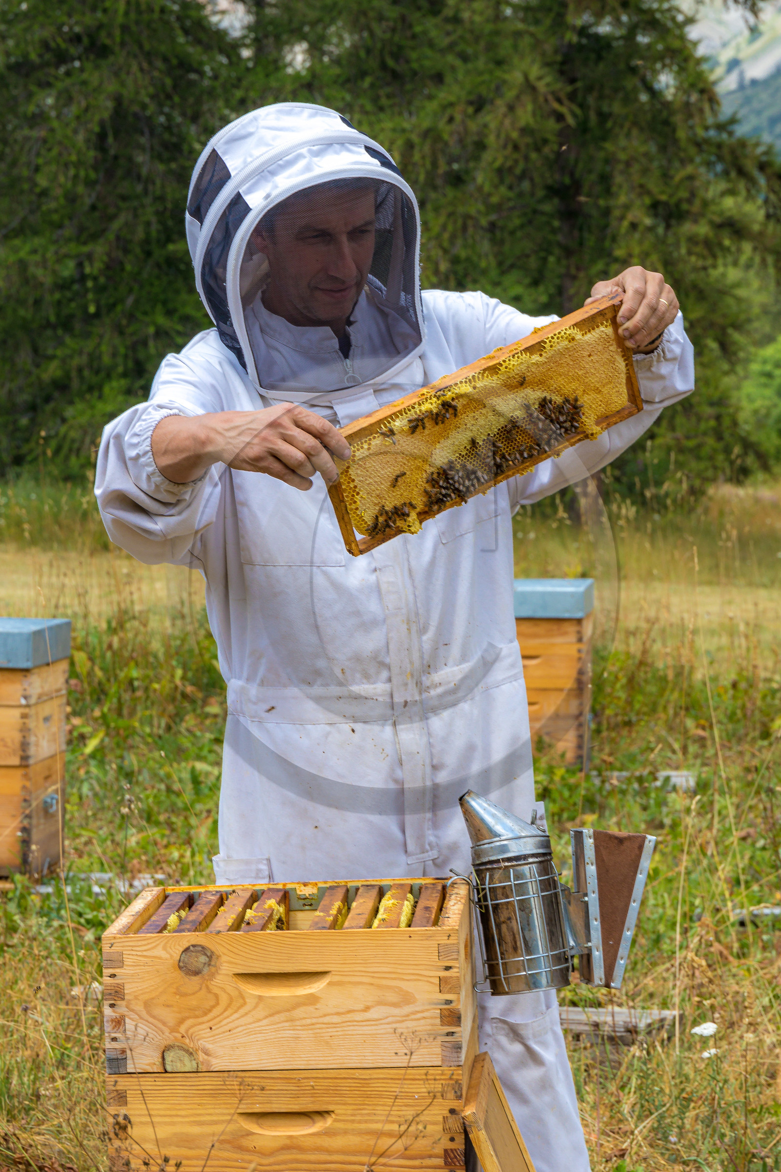 Miellerie de Serre Chevalier