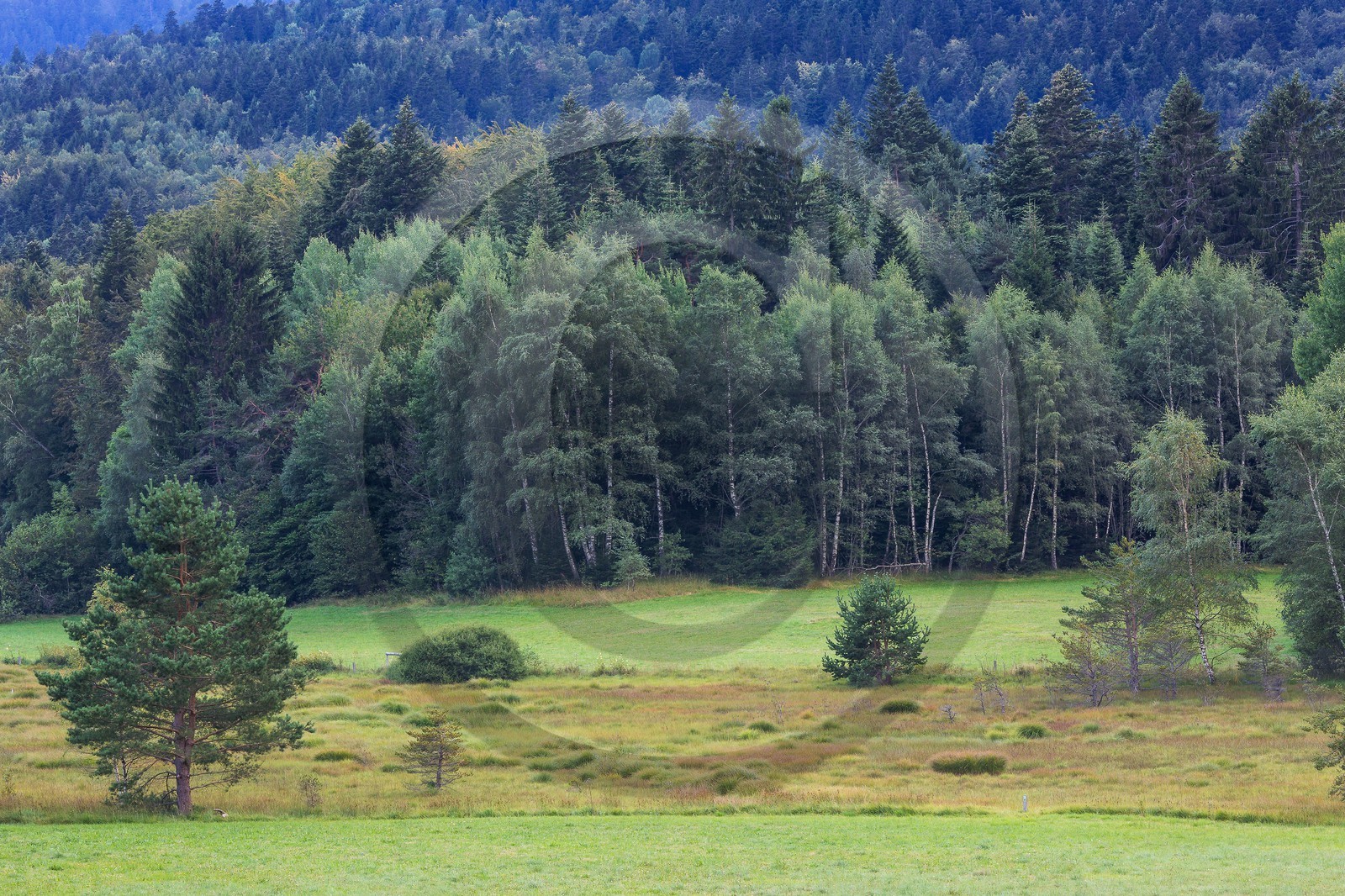ENS de l'Isère,Tourbières du Peuil