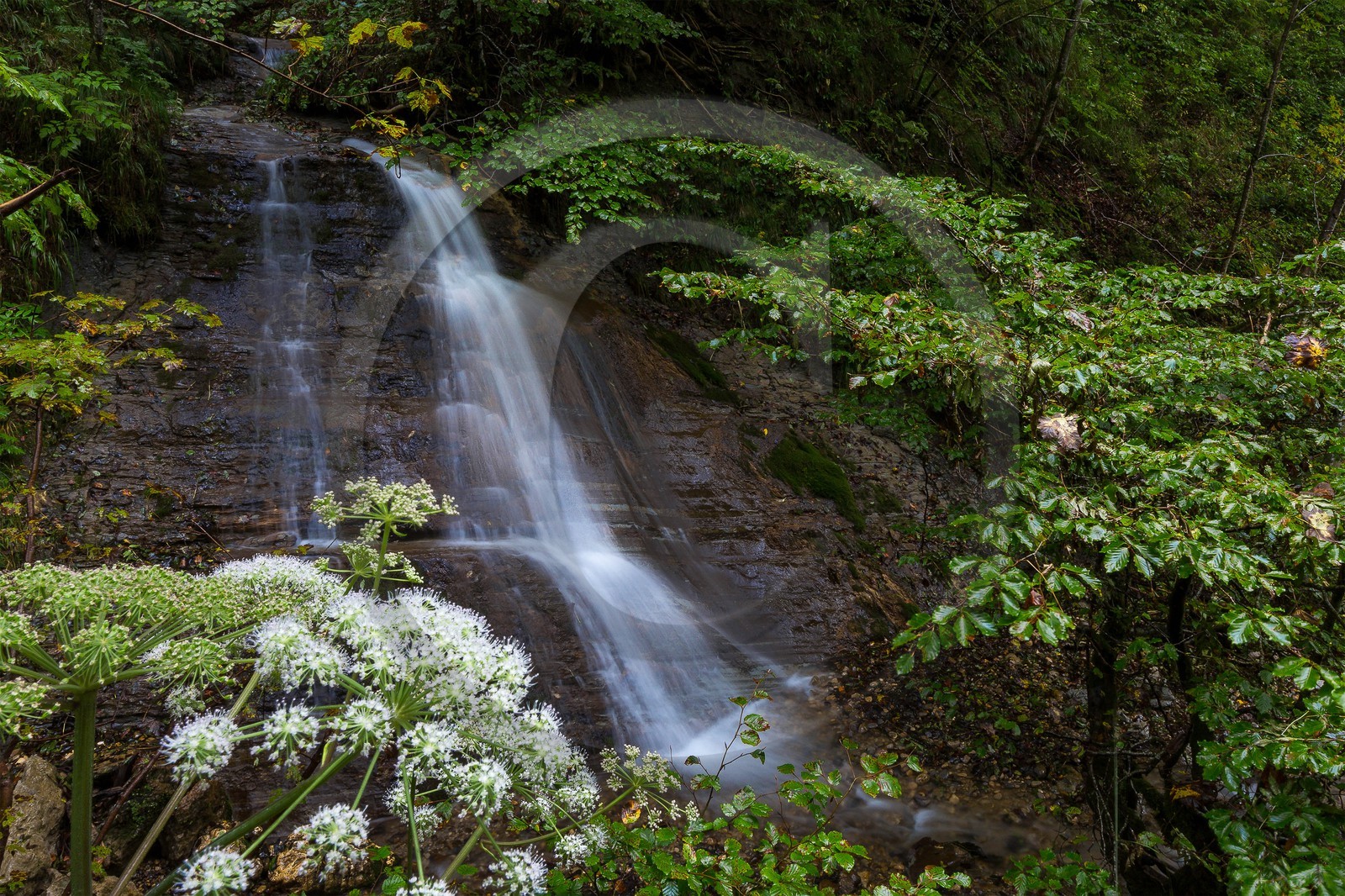 ENS de l'Isère, Les Ecouges