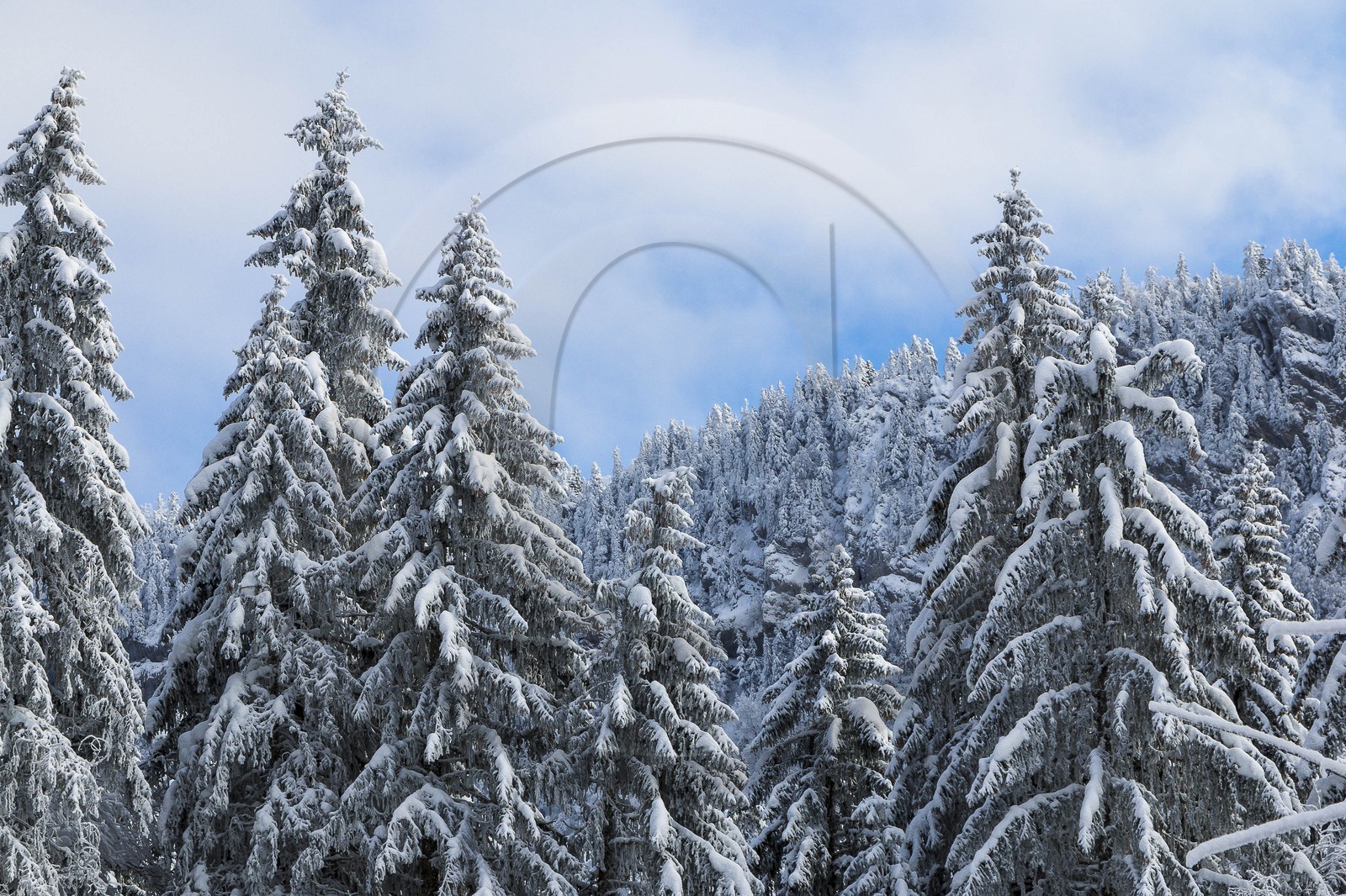 ENS de l'Isère, Les Ecouges