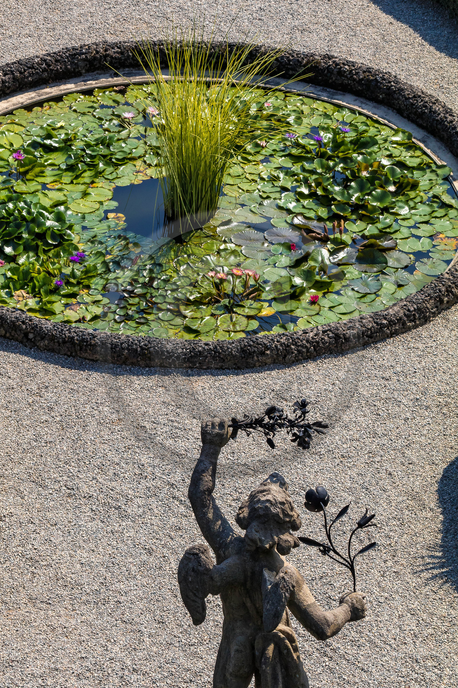 Lac Majeur, Isola Bella