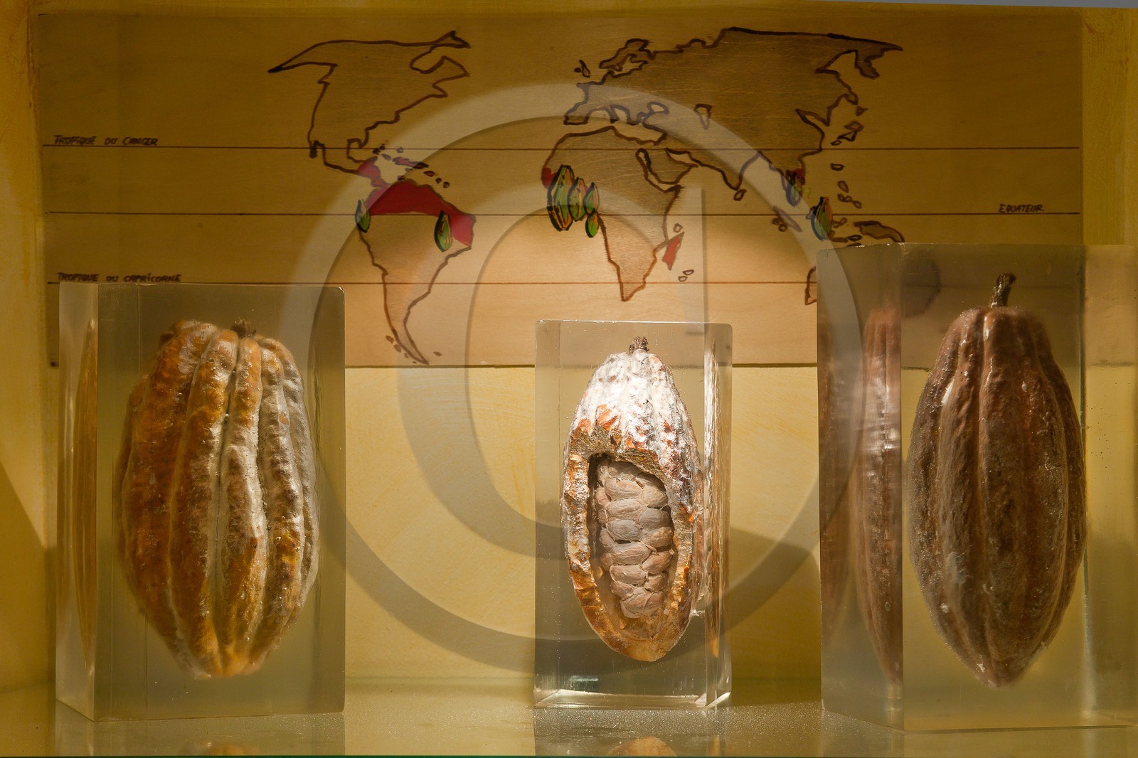 Luc Eyriey, Maître chocolatier à Embrun